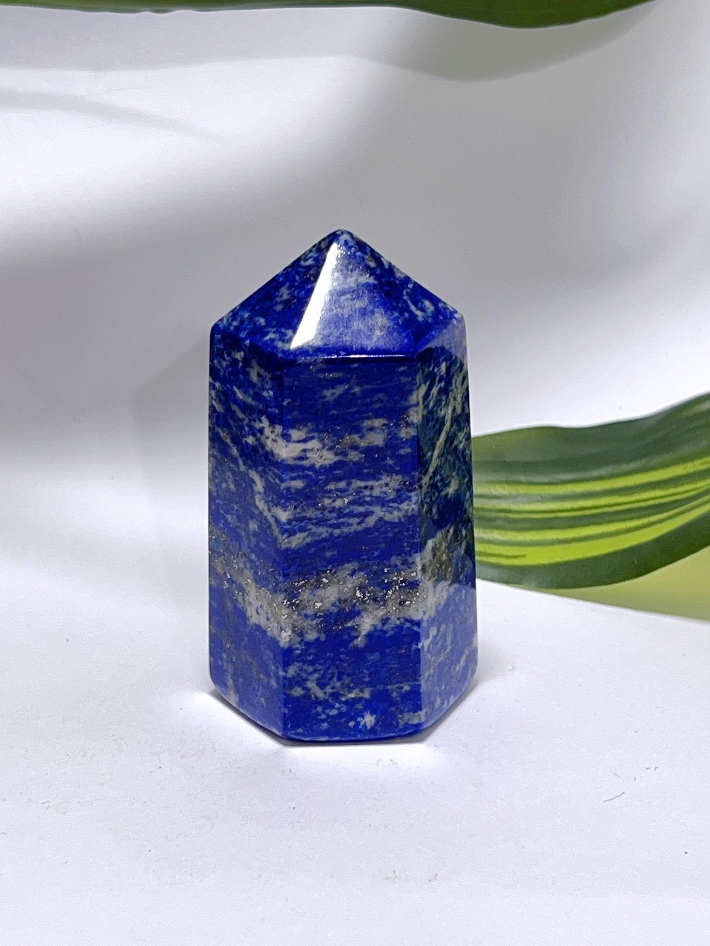 Lapis Lazuli Pt 164G