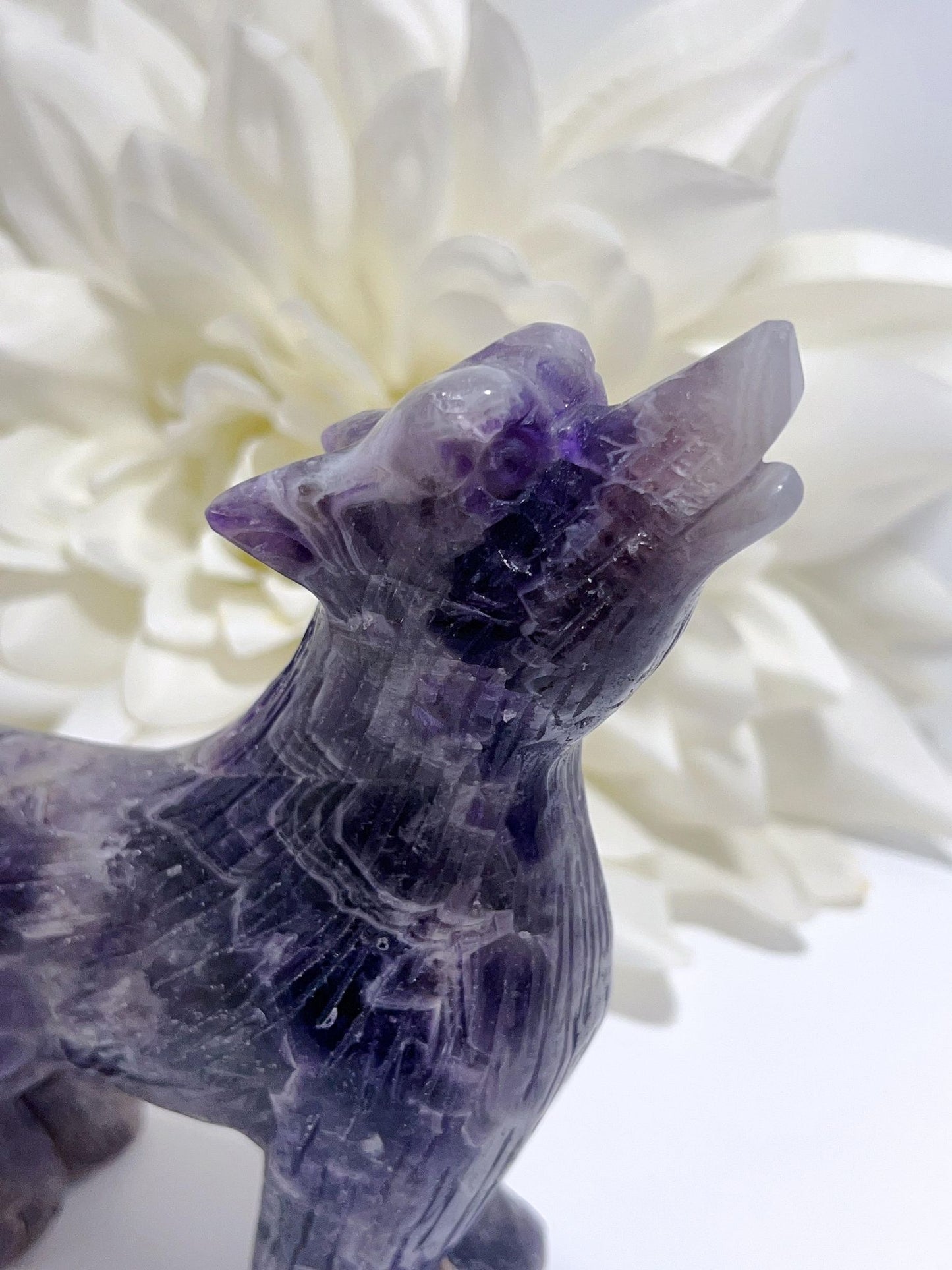 Chevron Amethyst Wolf 821g