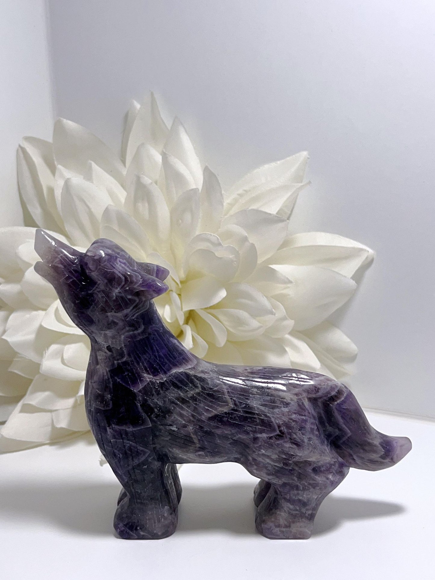 Chevron Amethyst Wolf 821g