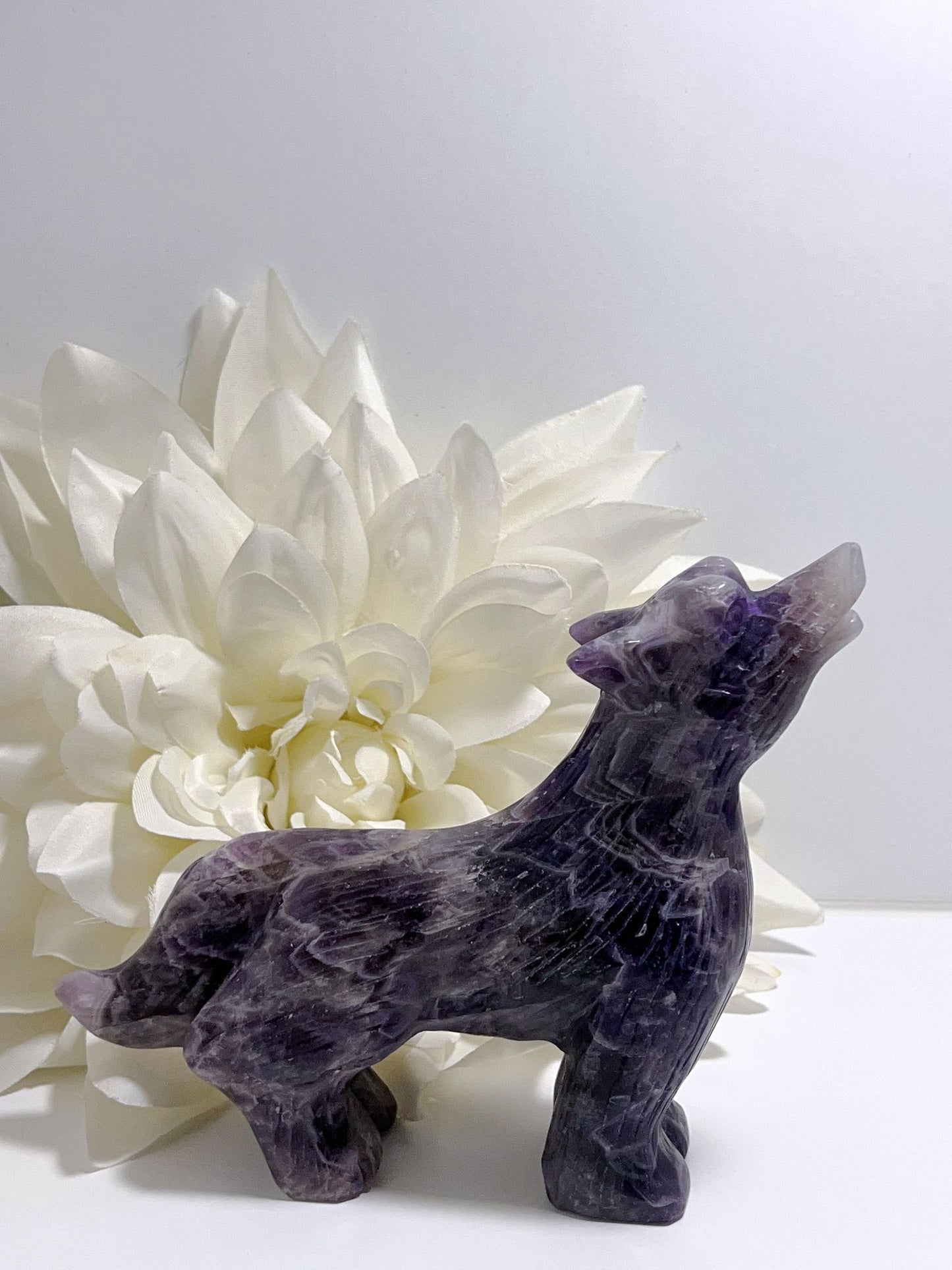 Chevron Amethyst Wolf 821g