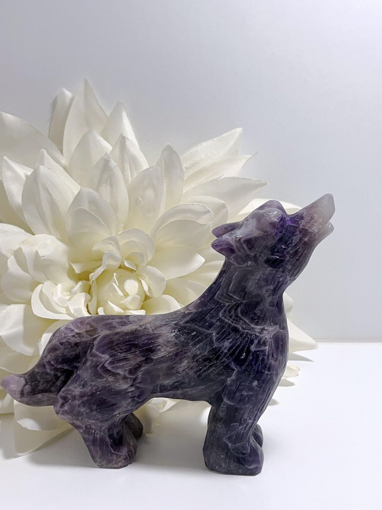 Chevron Amethyst Wolf 821g