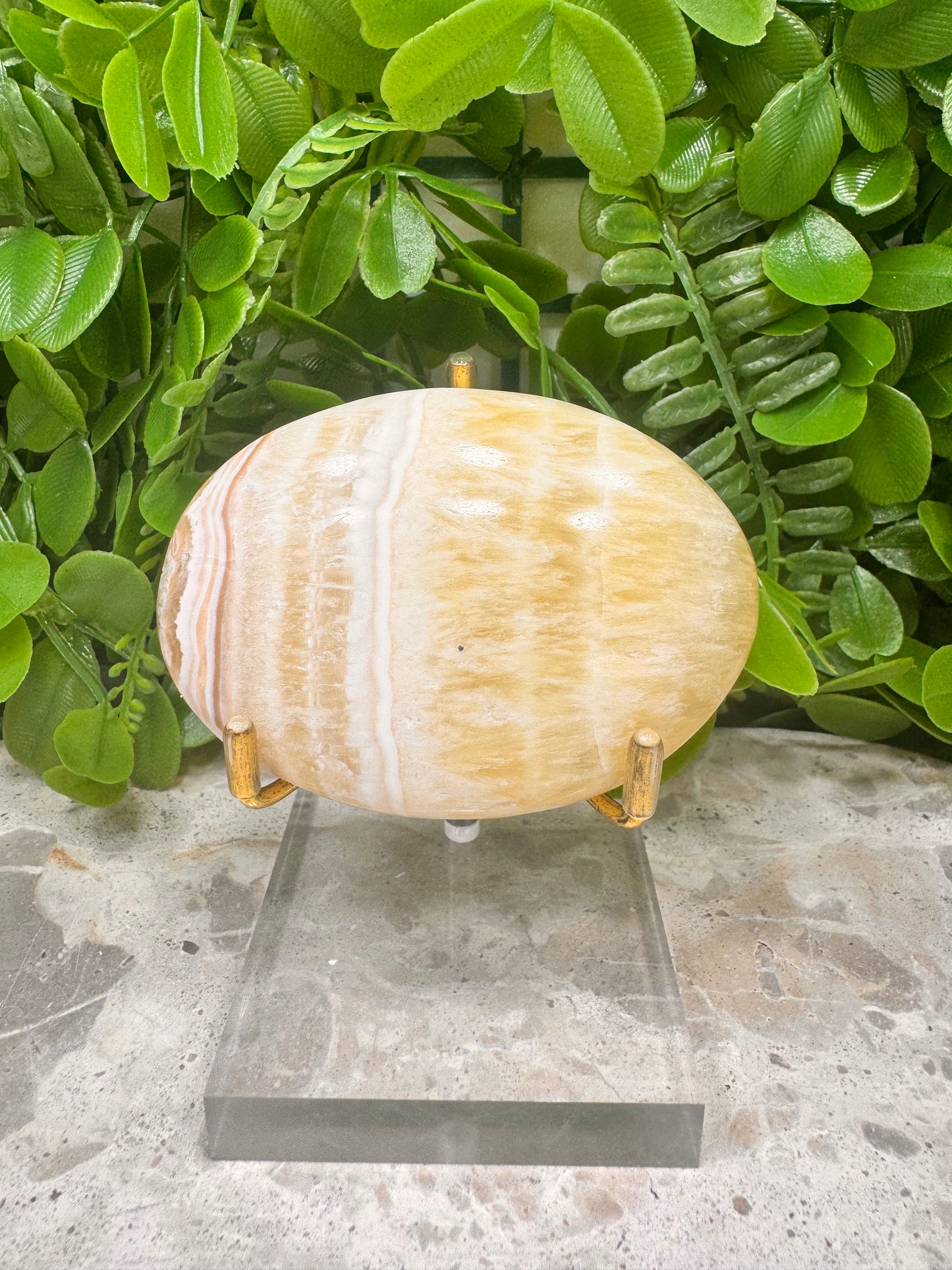 Pineapple Calcite Palm Stone 170g