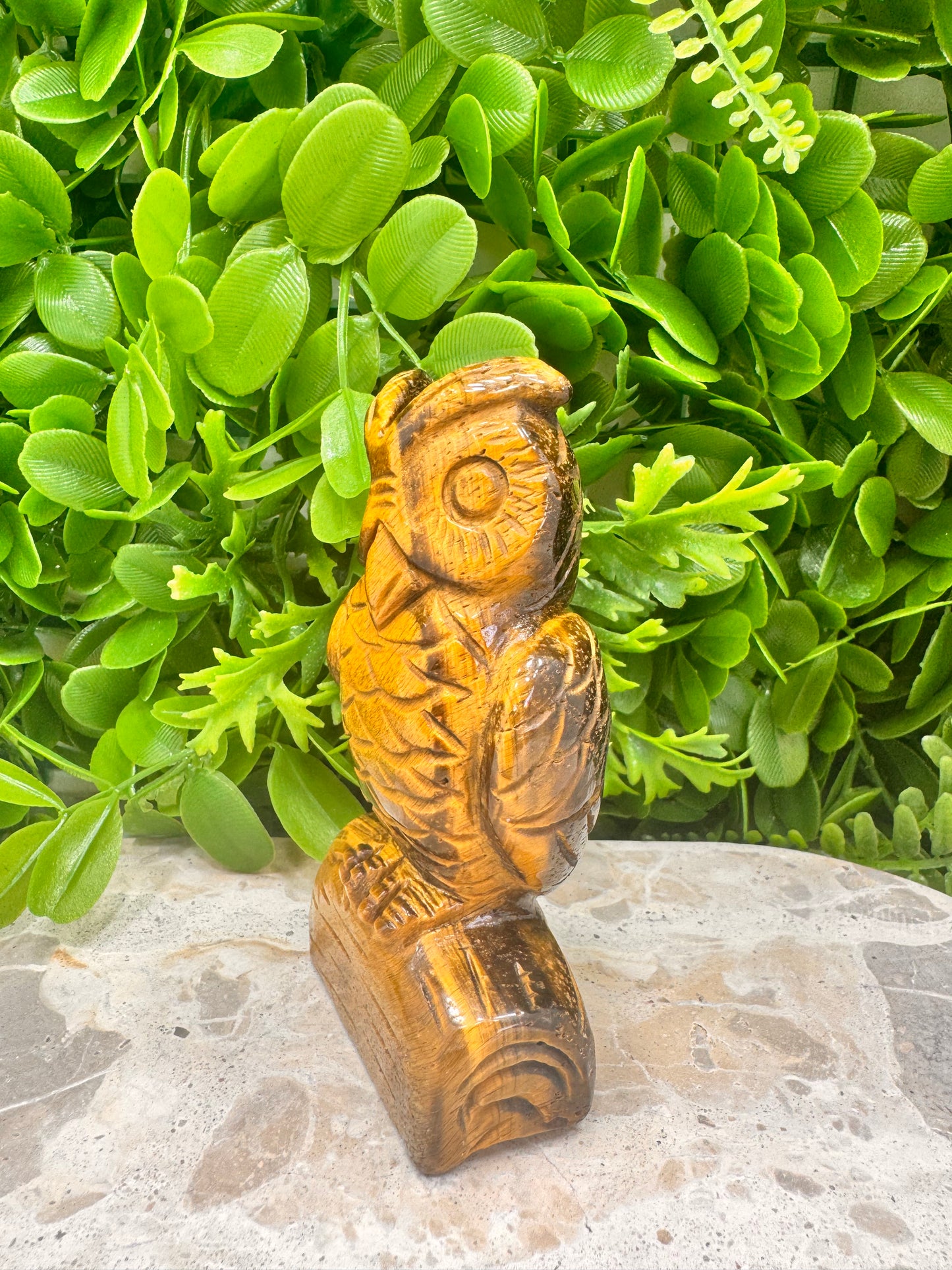 Tiger Eye Owl on A log 370g