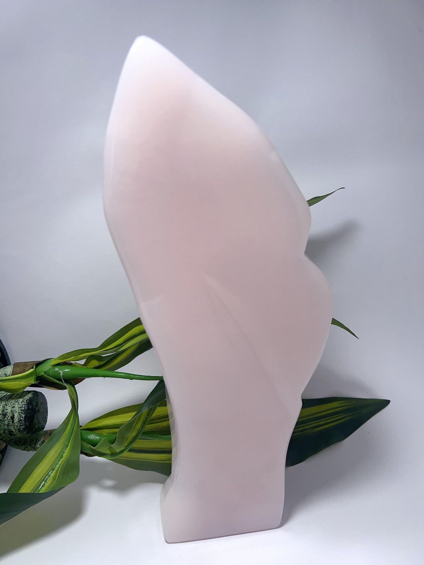 Pink Mangano Freeform - 3419g