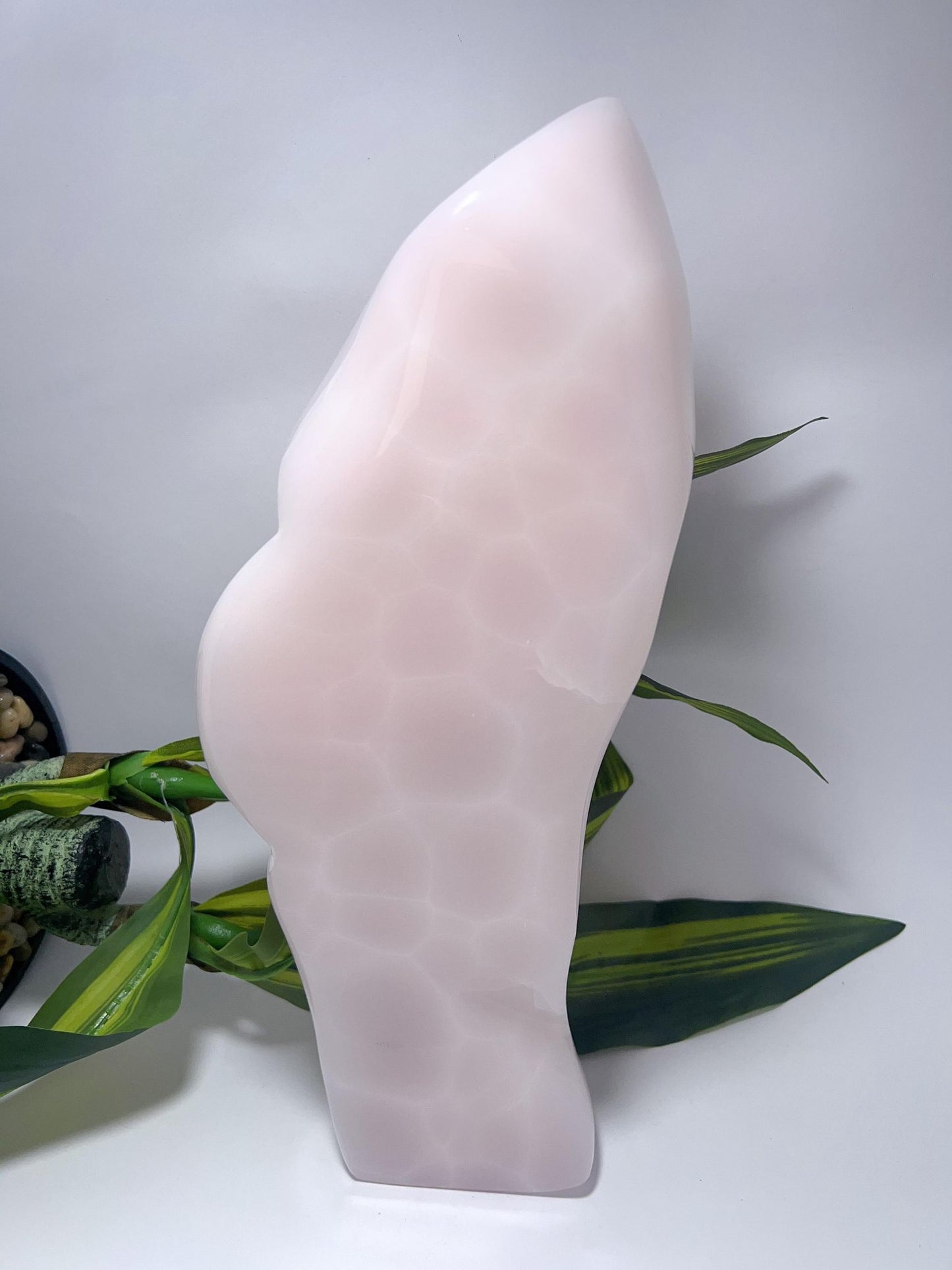 Pink Mangano Freeform - 3419g