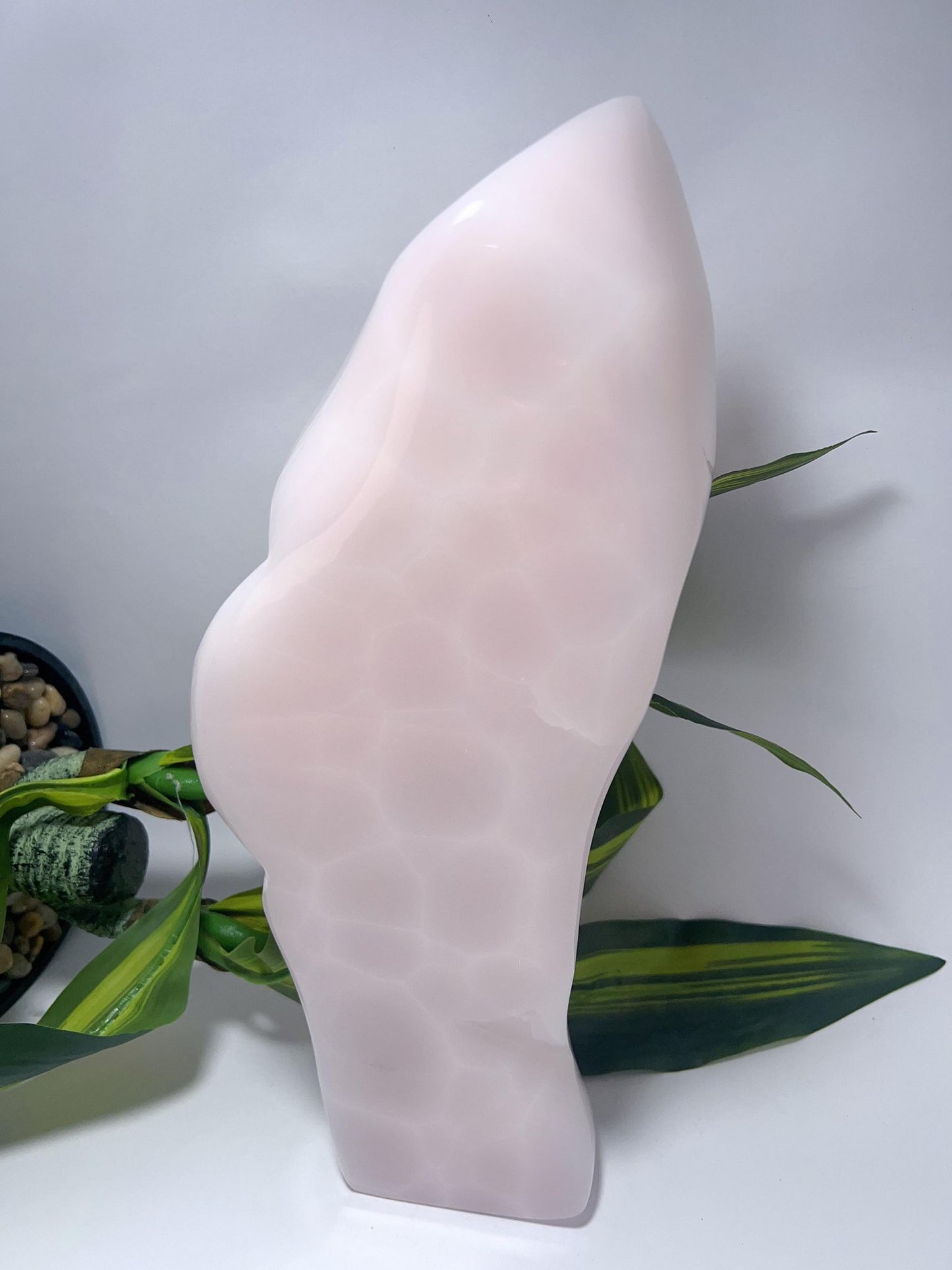 Pink Mangano Freeform - 3419g