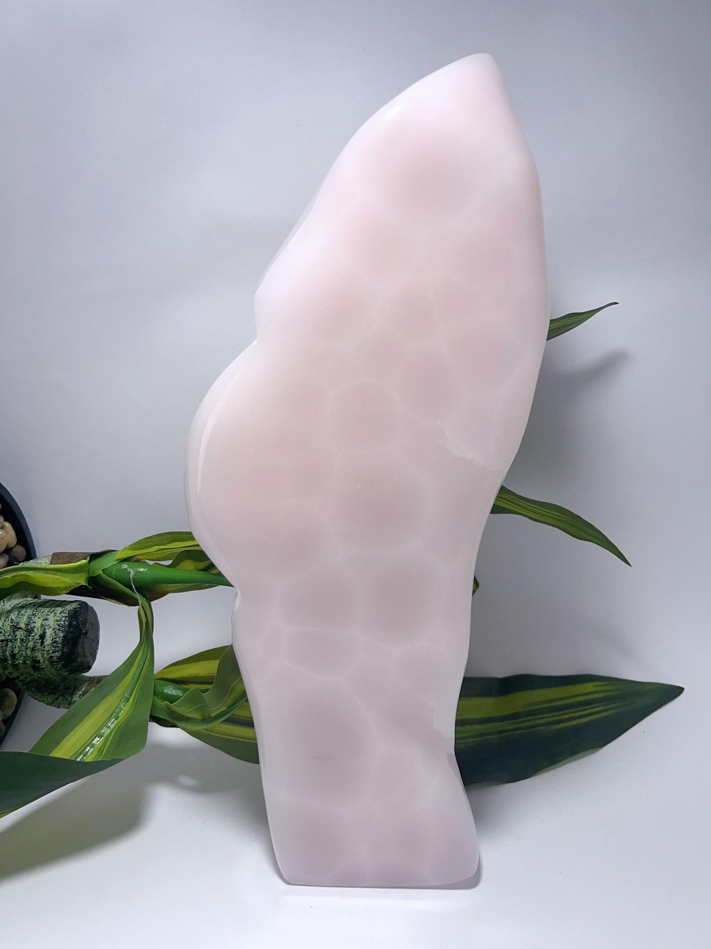 Pink Mangano Freeform - 3419g