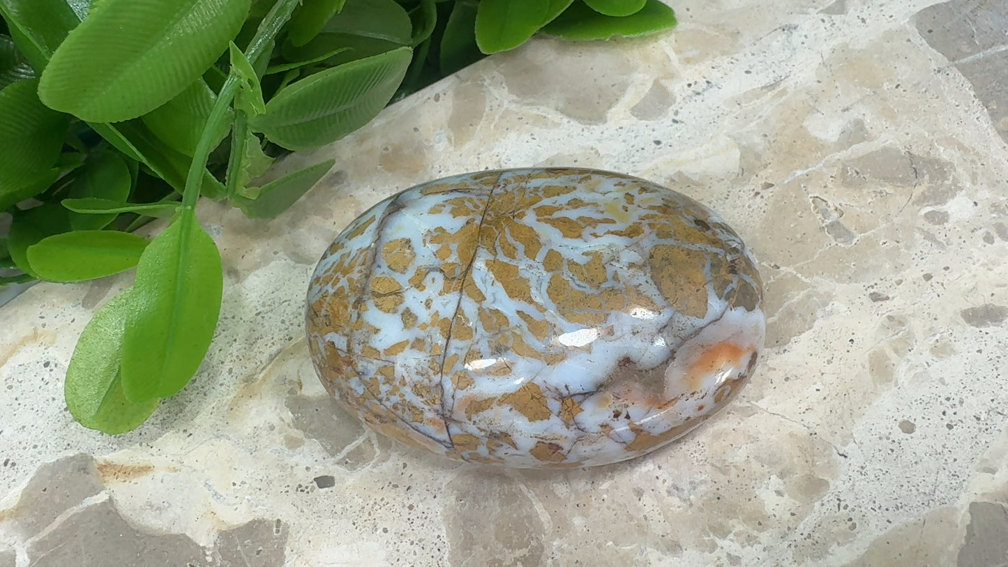 Jasper Agate Palm Stone 130g