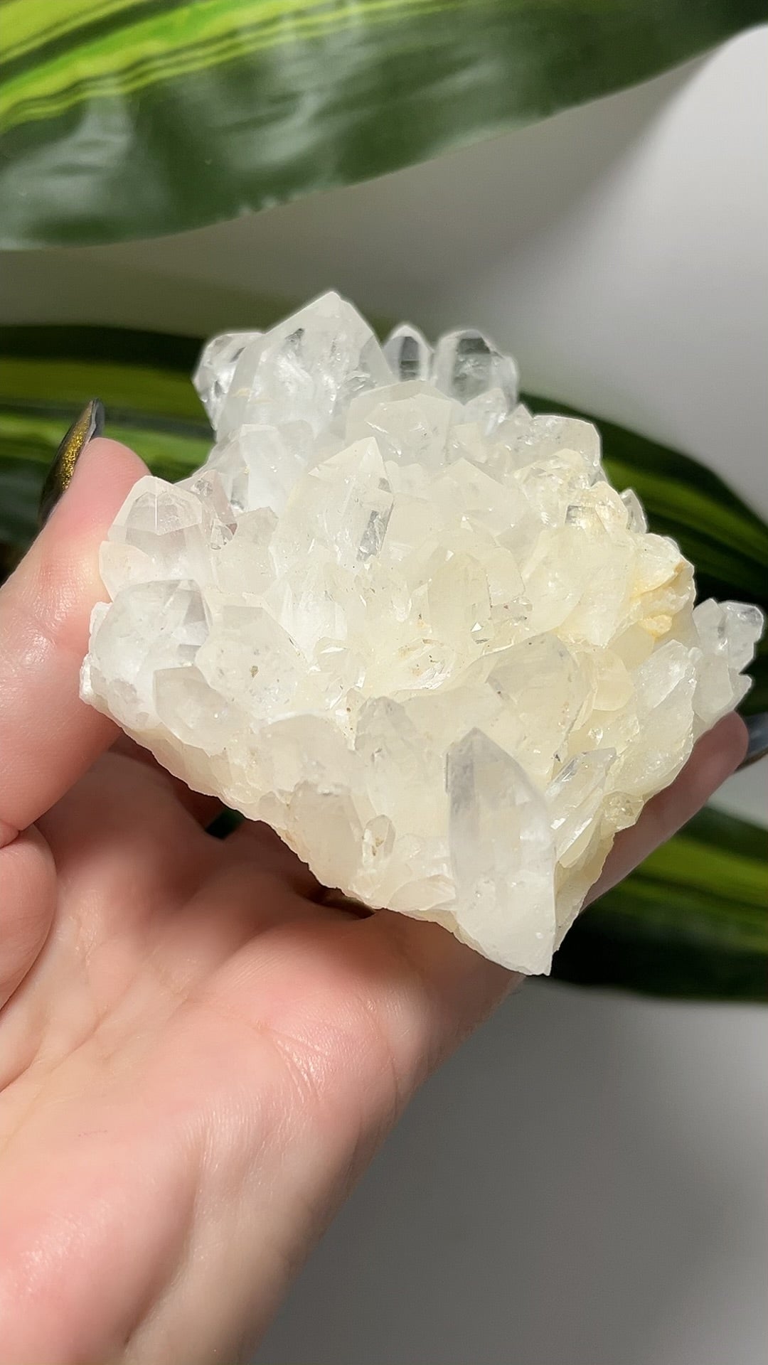 Clear Quartz Cluster 266g