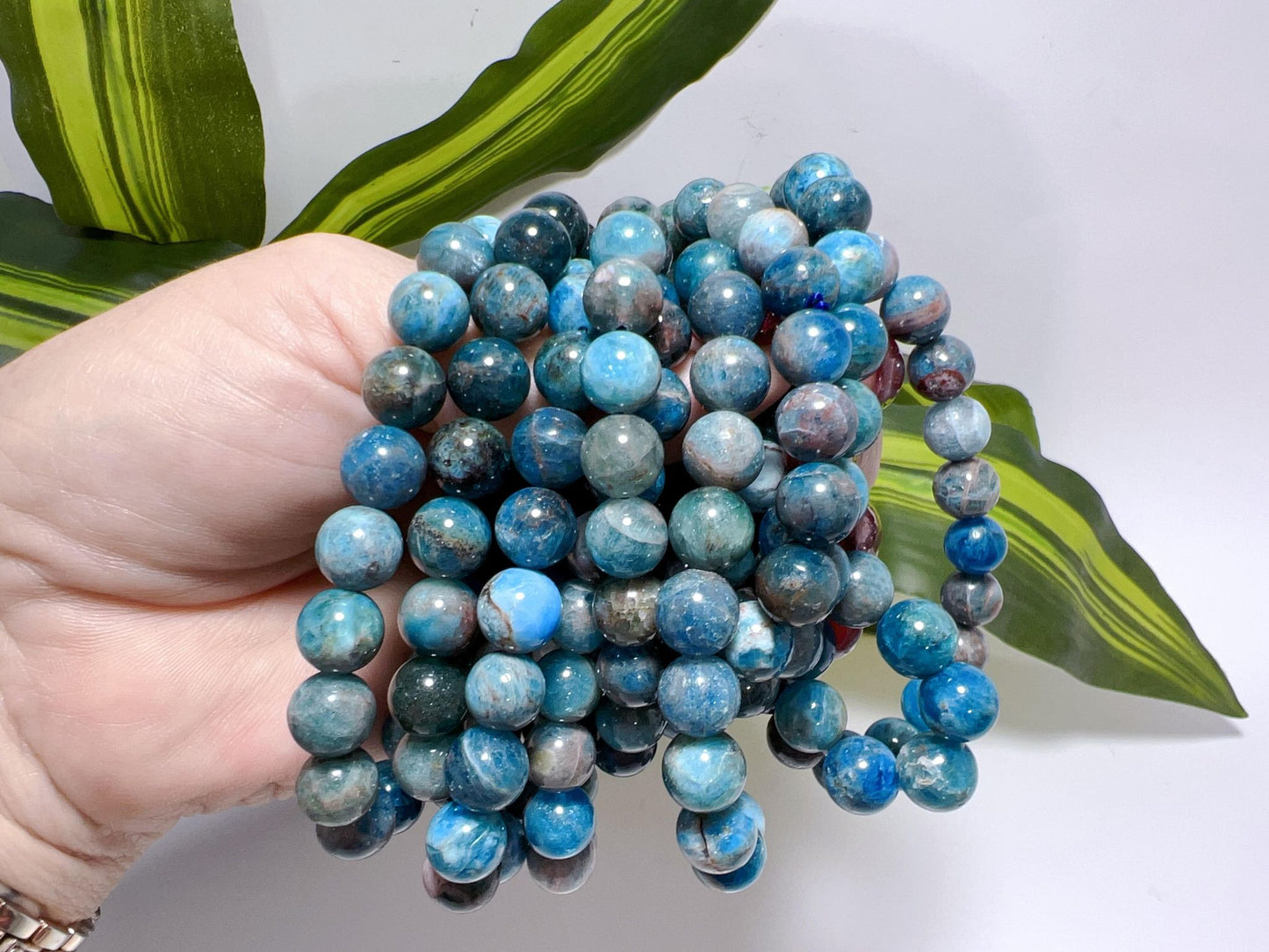 Apatite Bracelets 10mm