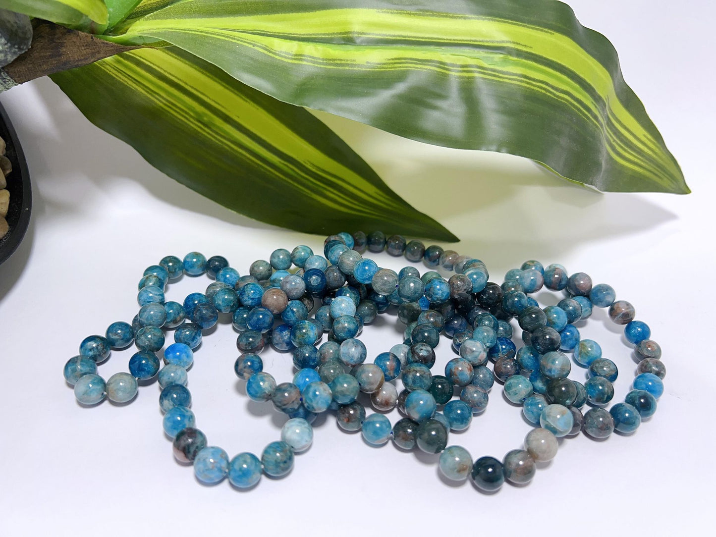 Apatite Bracelets 10mm