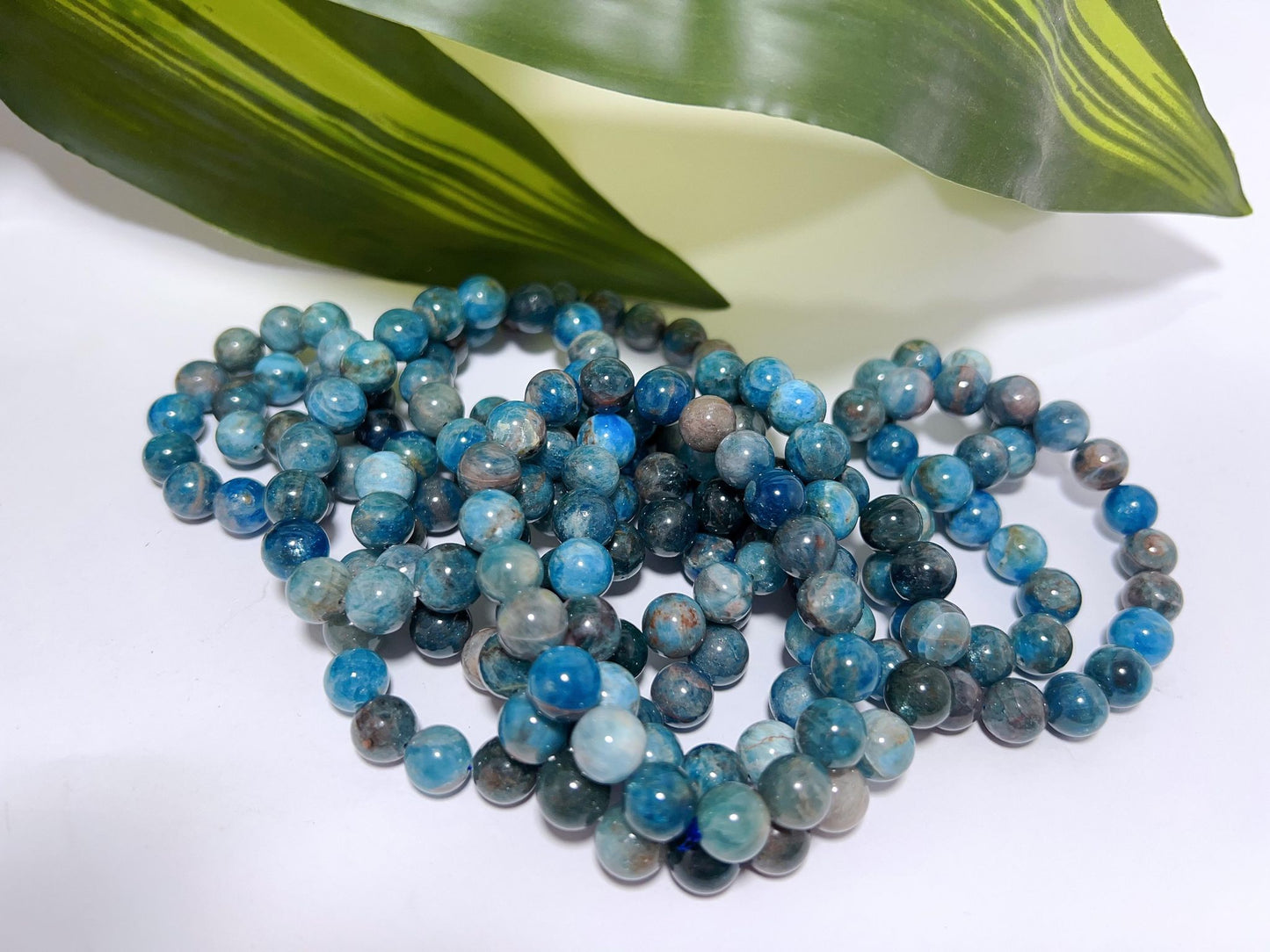 Apatite Bracelets 10mm