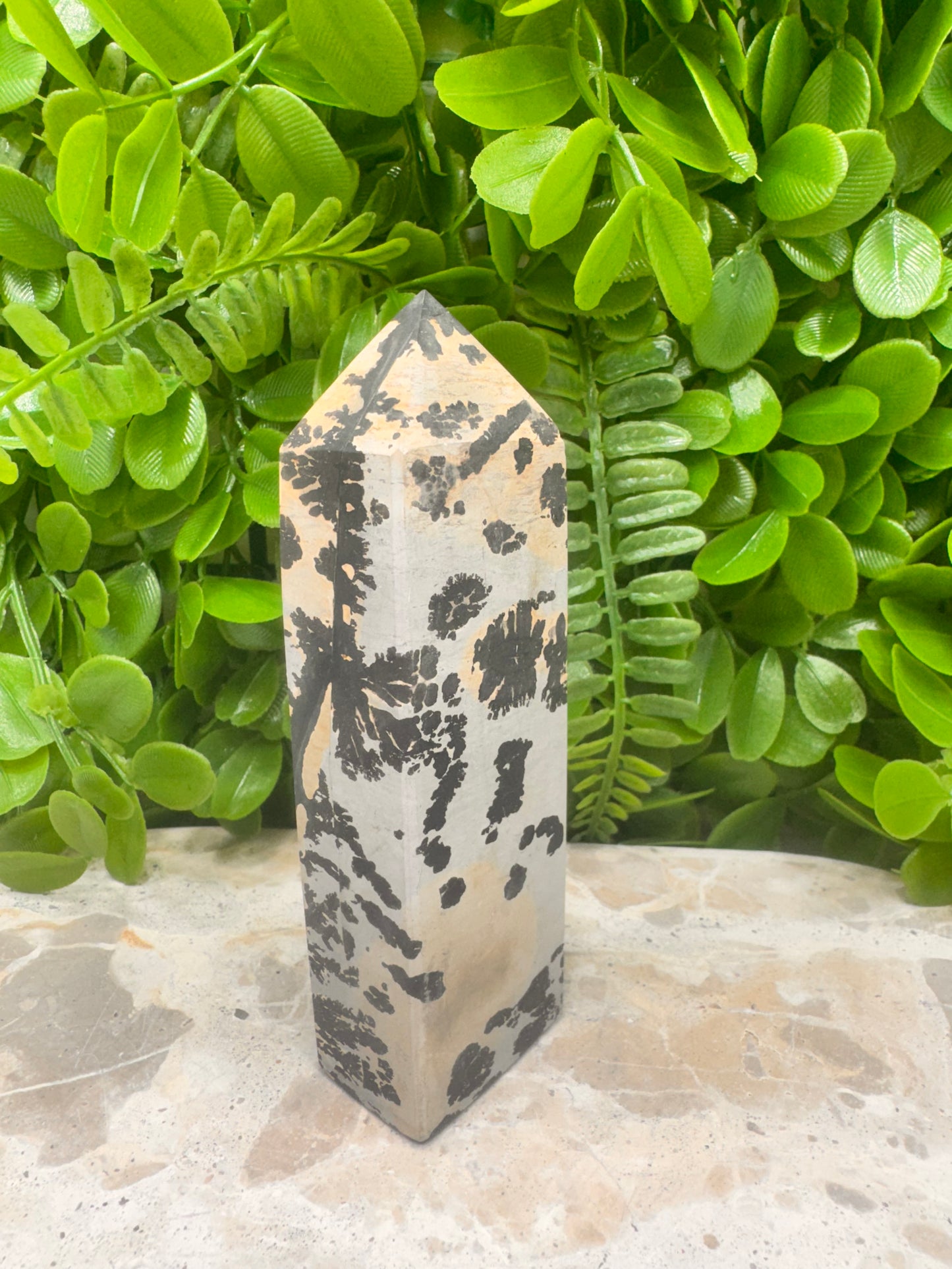 Picture Jasper Tower 258g