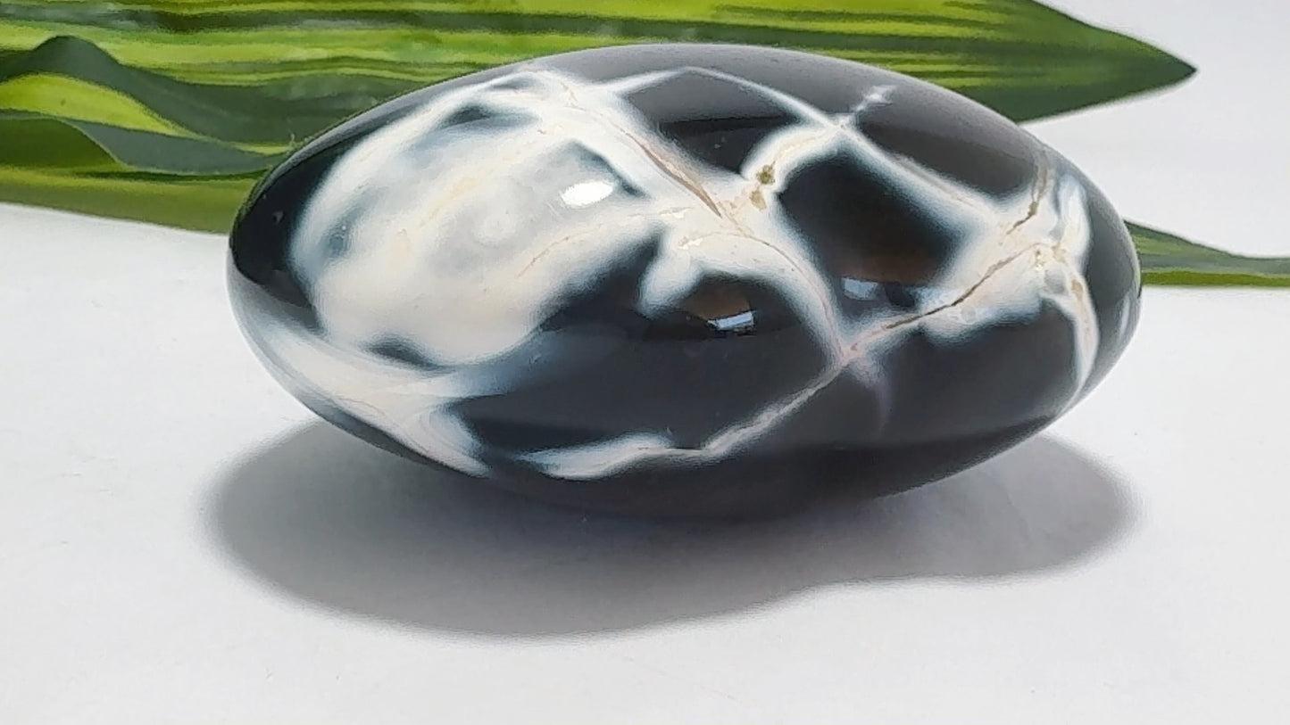 Orca Agate Heart 288g