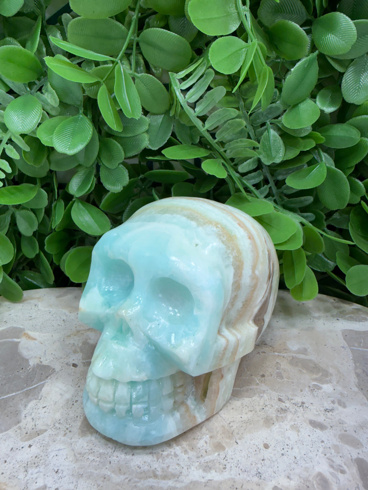 Caribbean Calcite Skull | Calm • Intuition • Emotional Healing