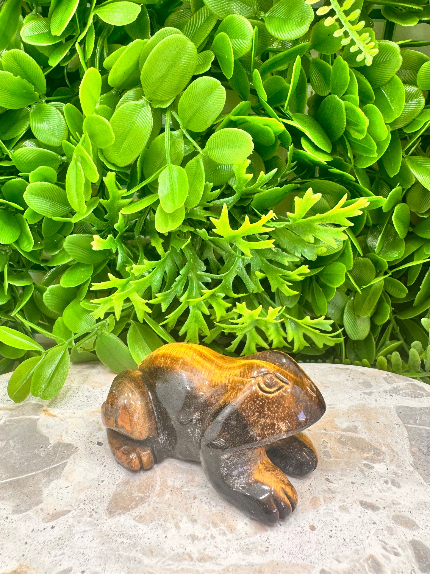 Tiger Eye Frog 260g