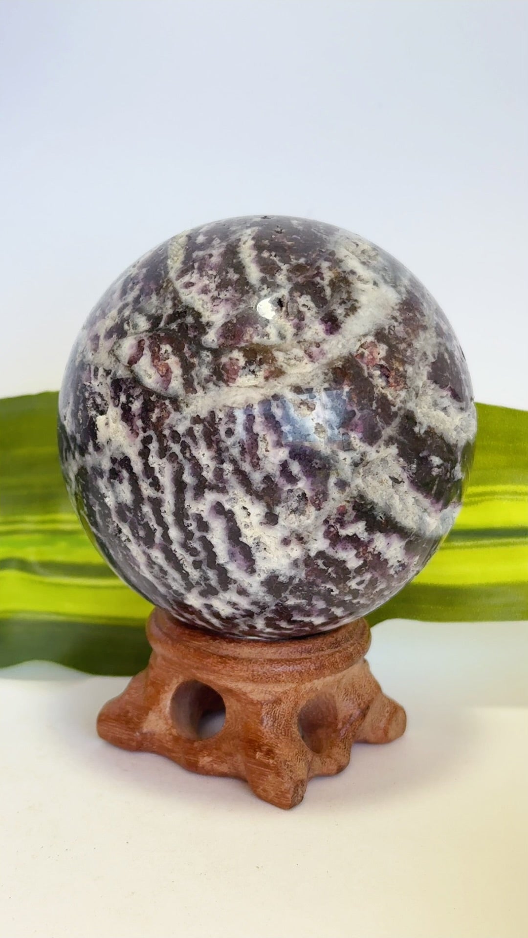 Zebra Jasper Sphere 488g