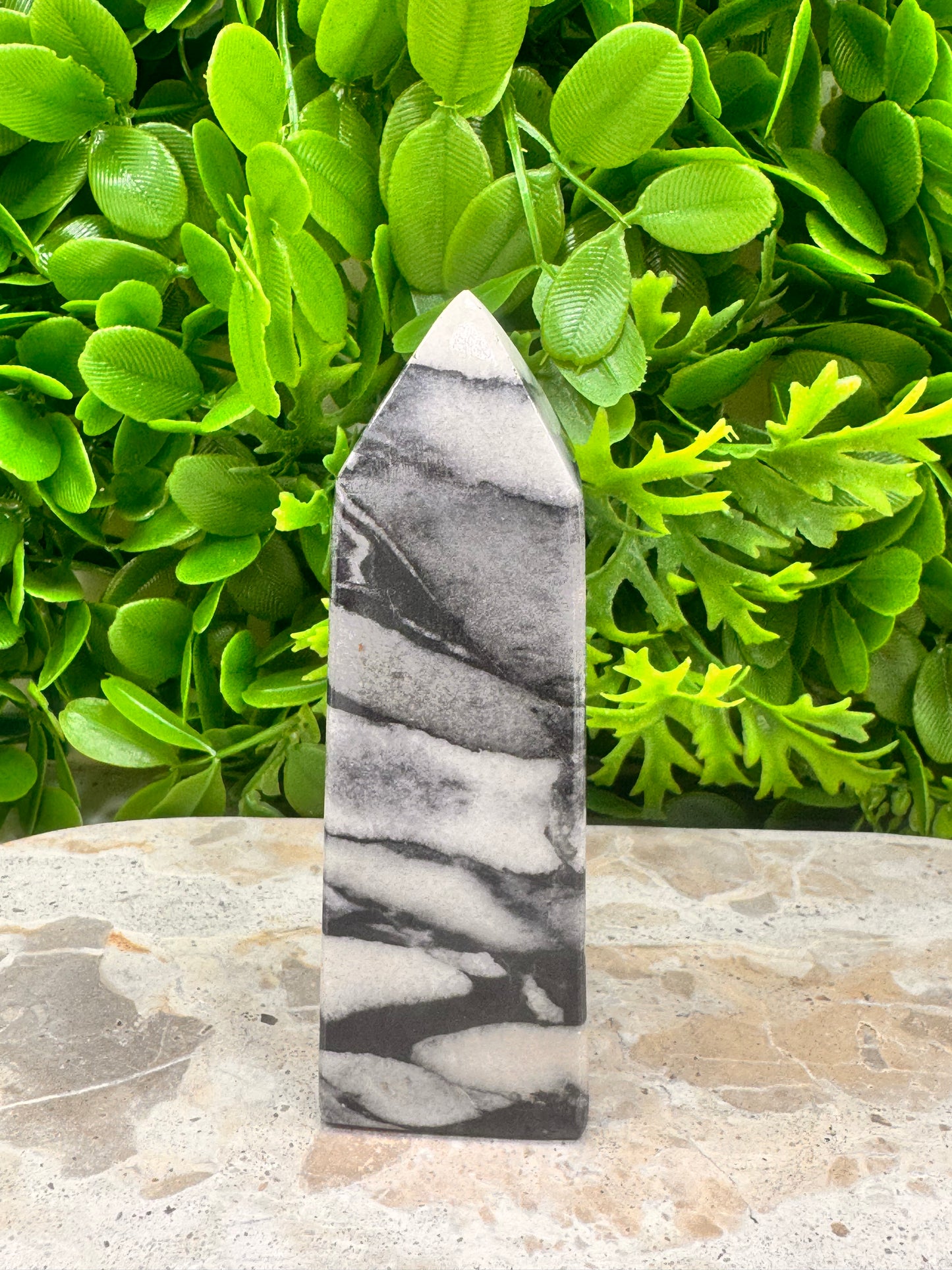 Shell Jasper Tower 278g