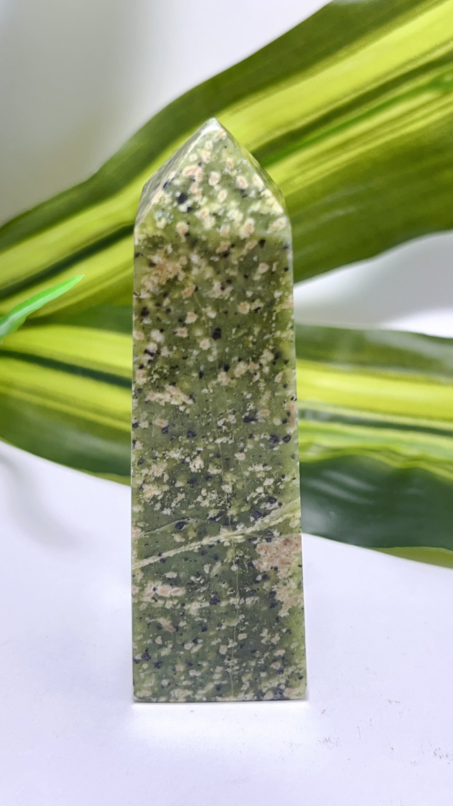 Dotted Serpentine Point 135g