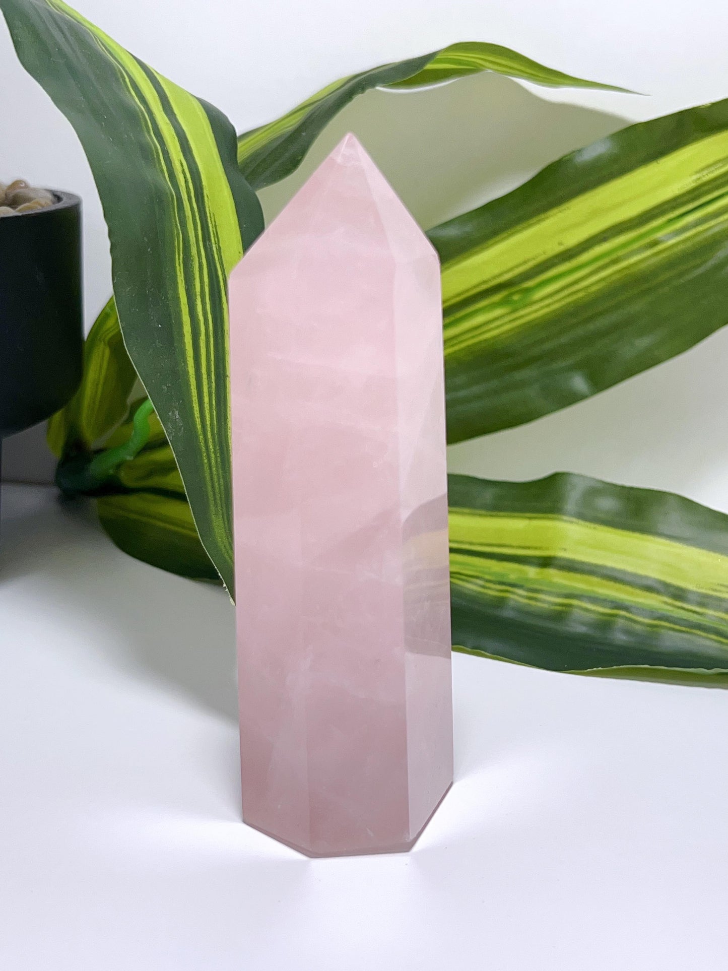 Rose Quartz Point 244g
