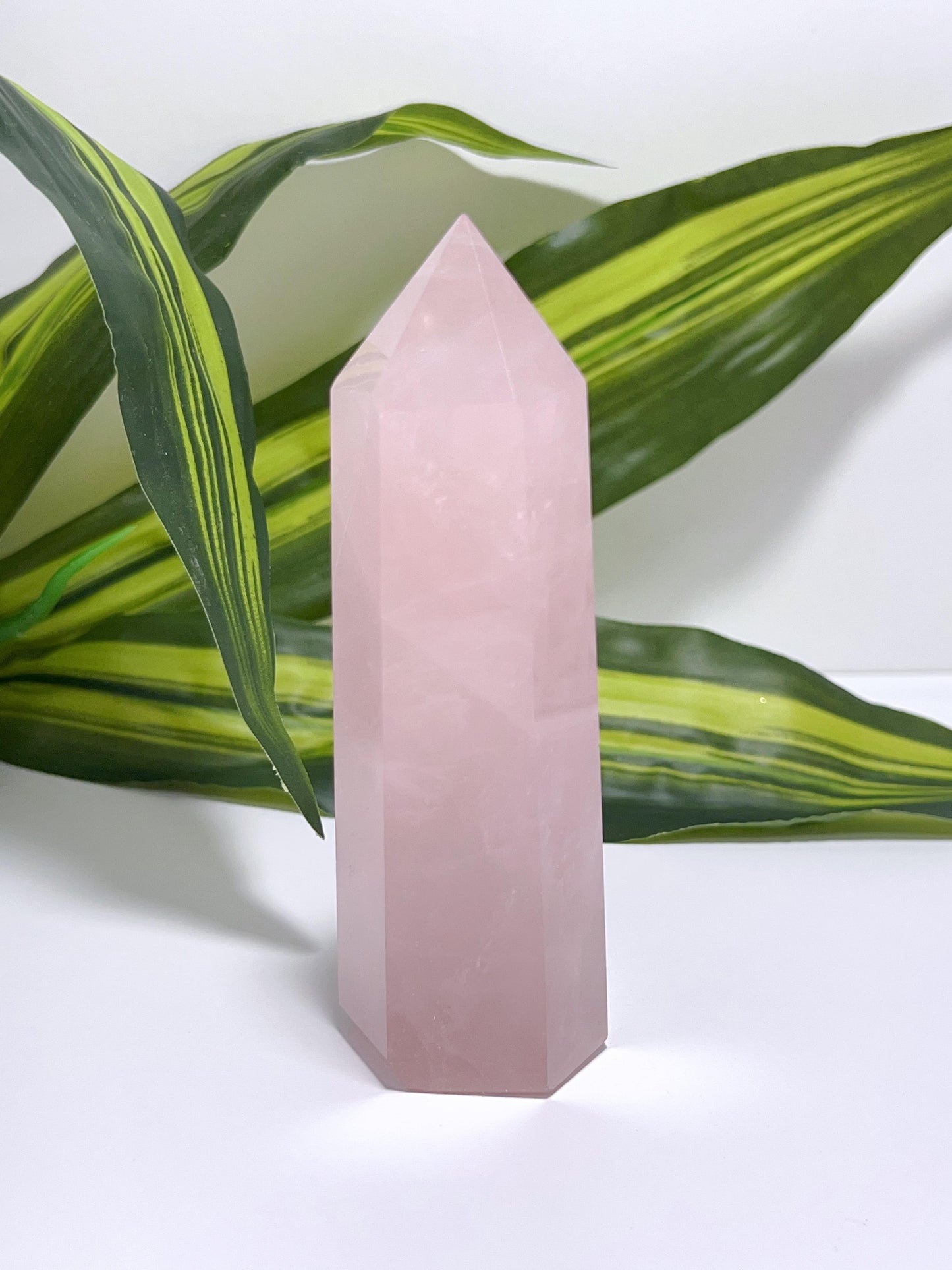 Rose Quartz Point 244g