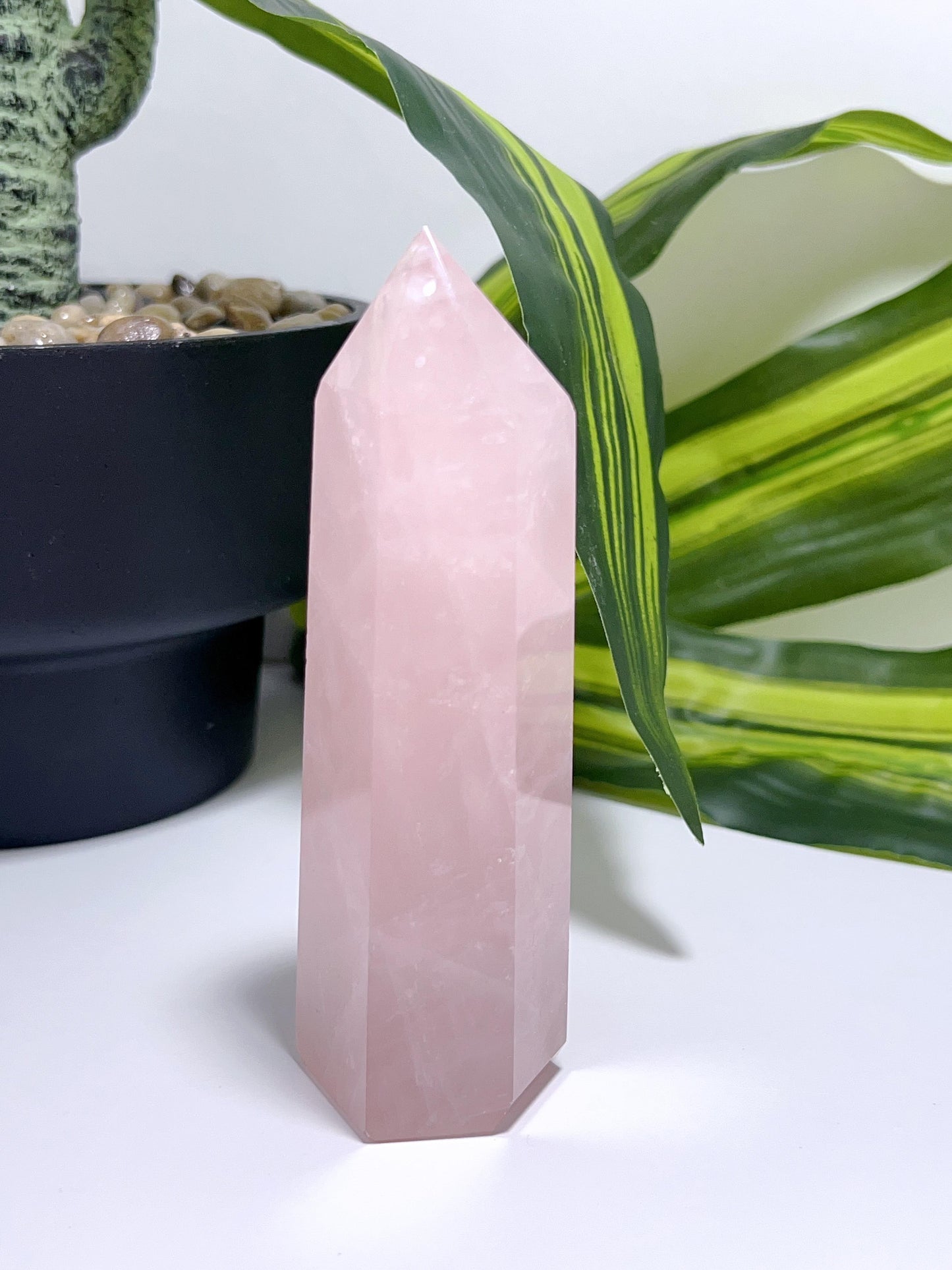 Rose Quartz Point 244g