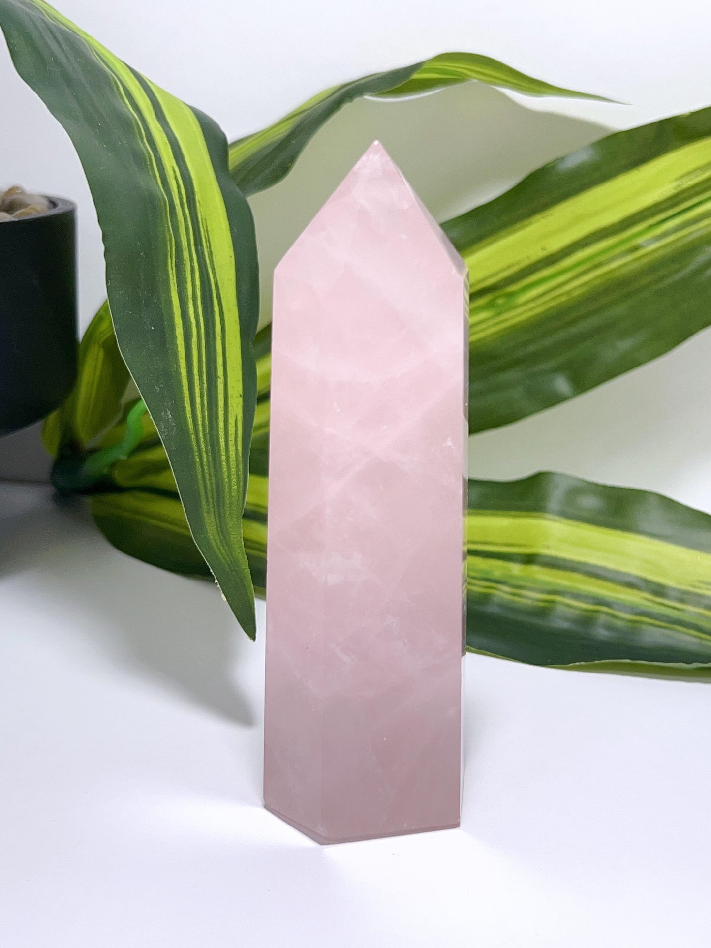 Rose Quartz Point 244g