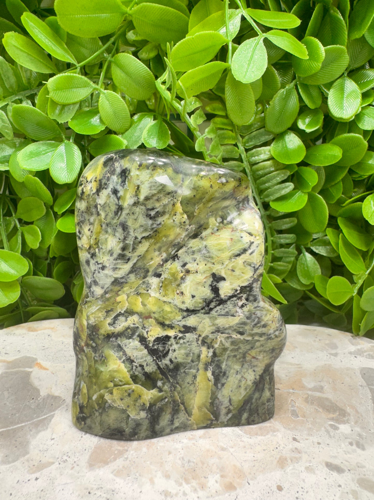 Nephrite Jade Freeform 710g