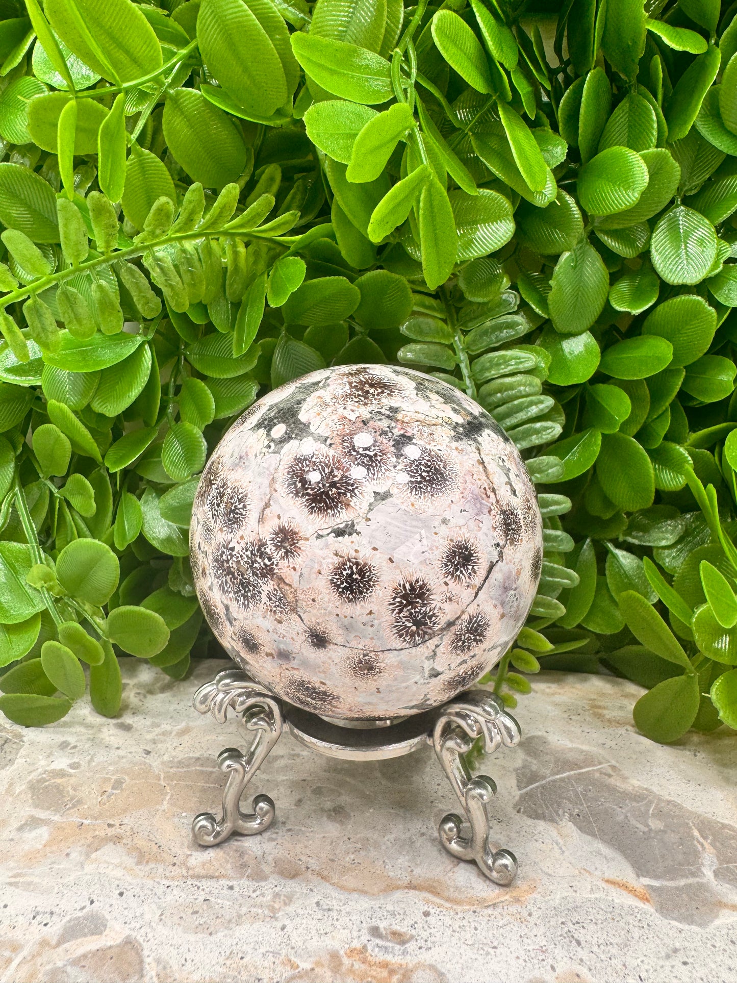Russian Flower Agate Sphere 559g
