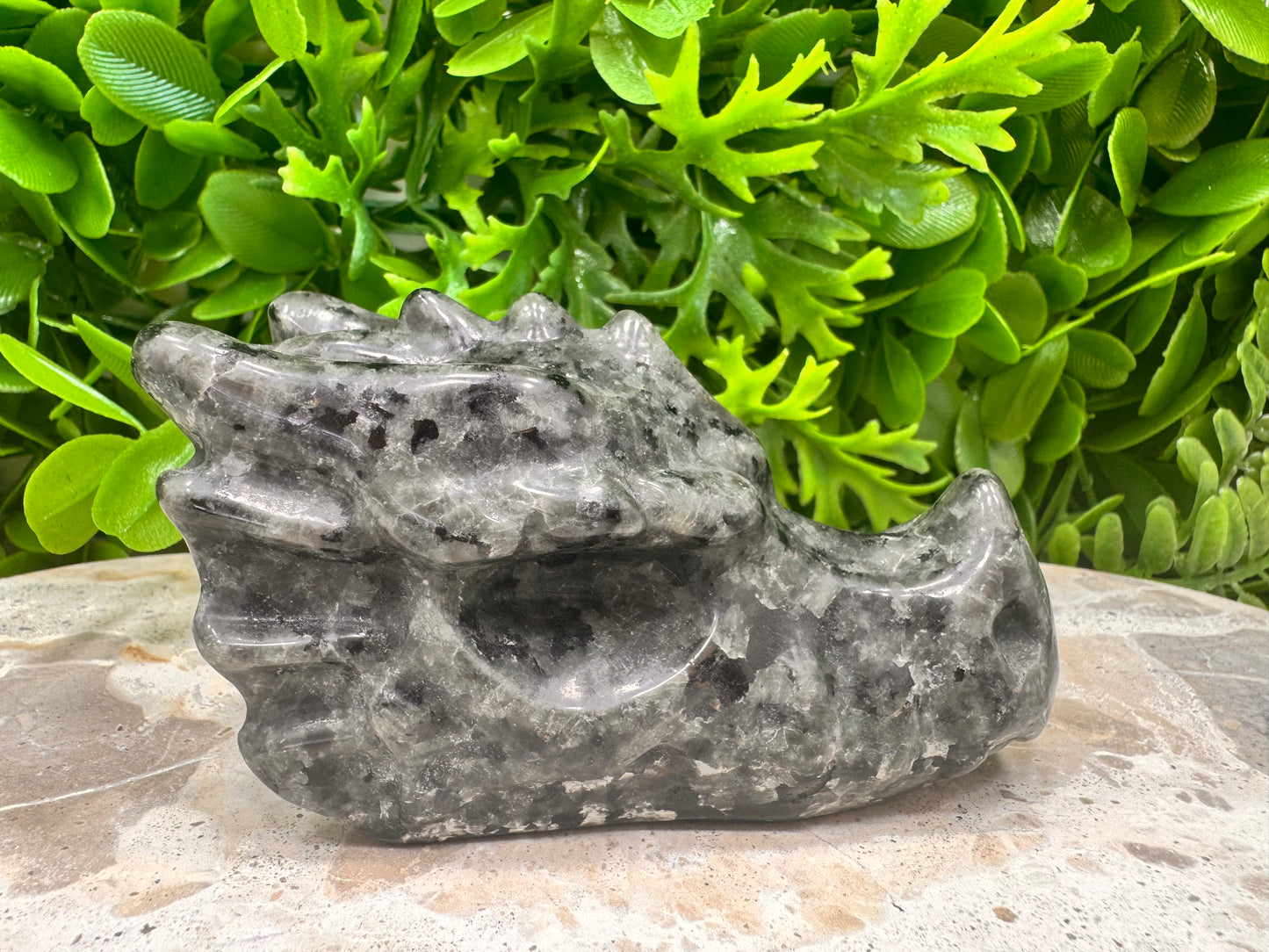 Larvikite Dragon Skull 308g