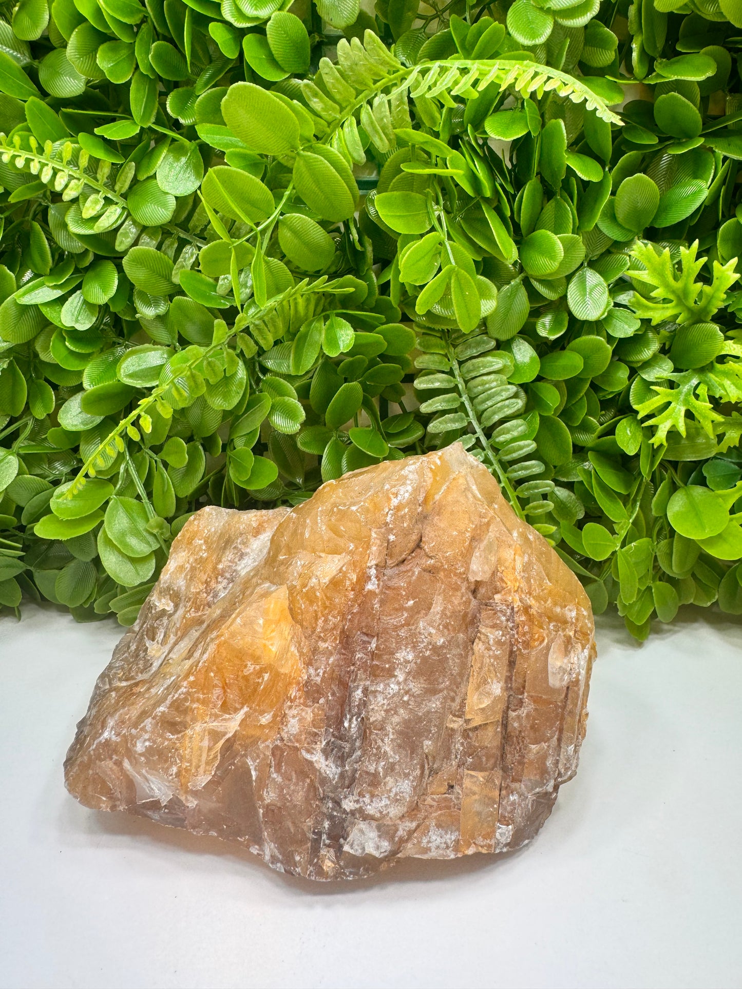 Golden Healer Raw 2680g