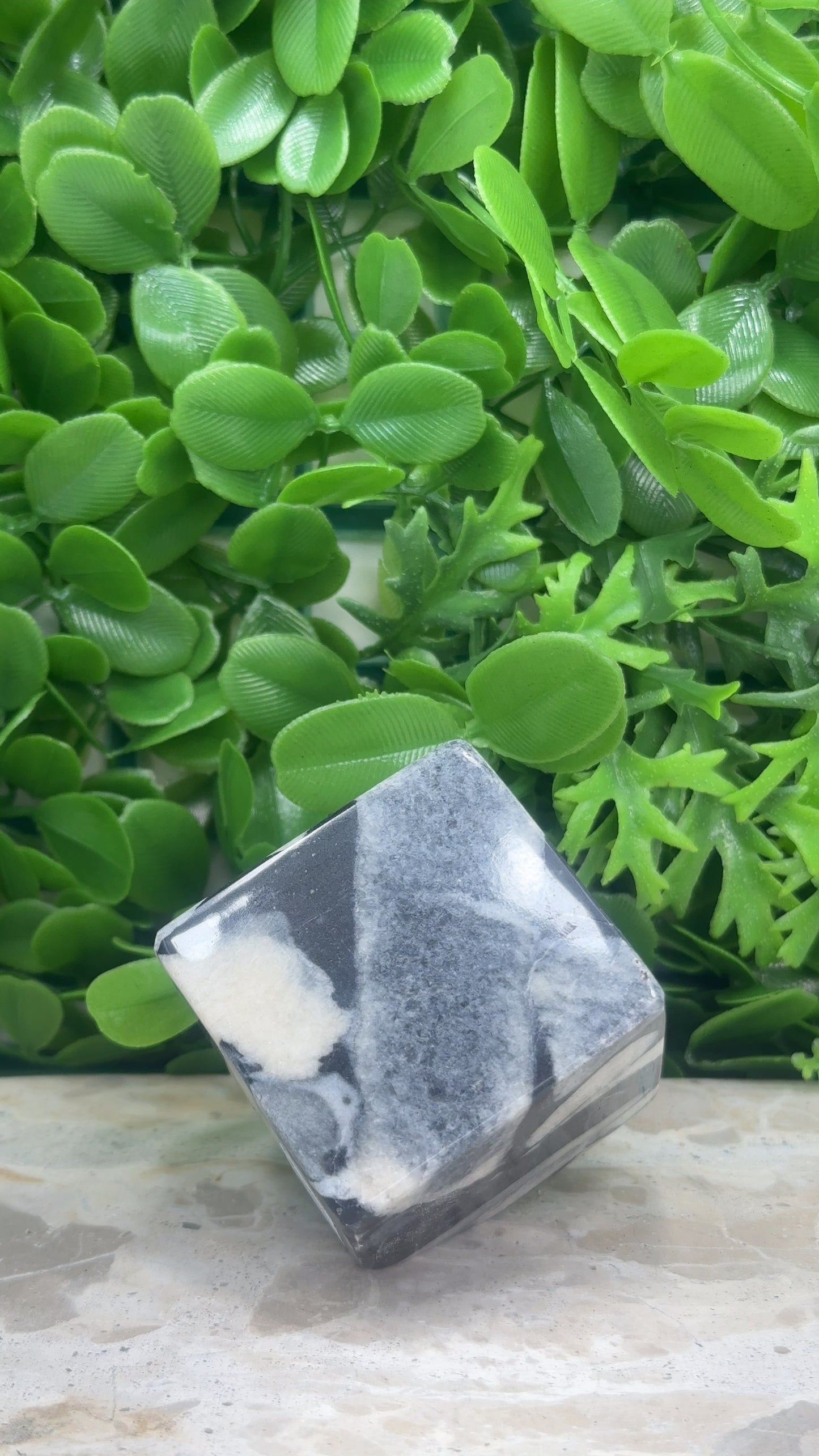 Shell Jasper Cube 324g