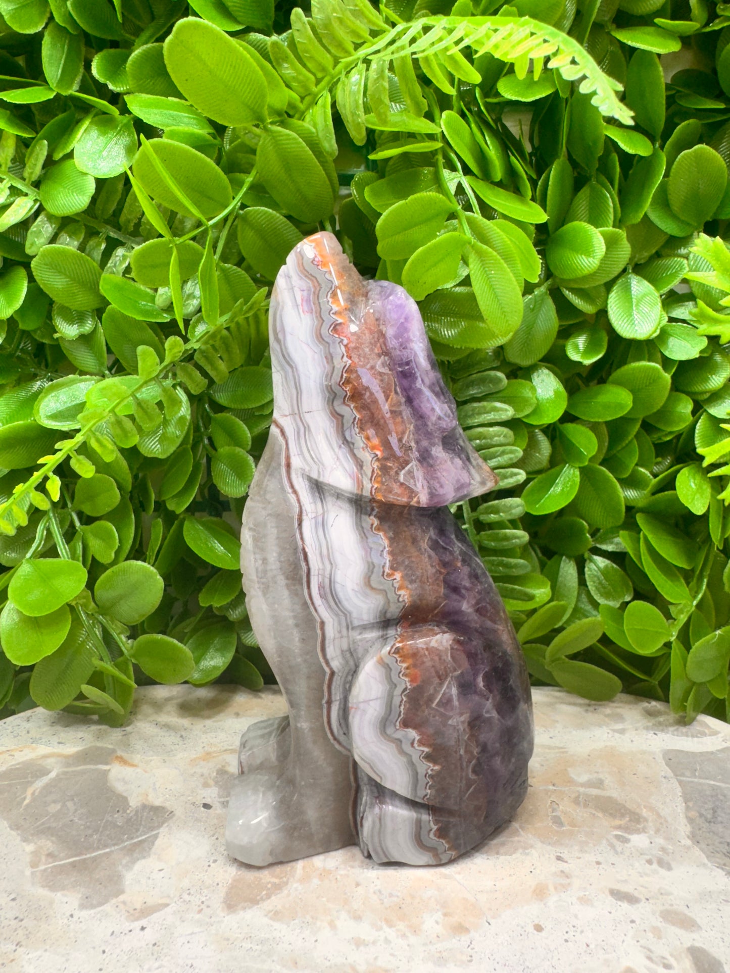Amethyst/Mexican Agate Wolf 610g