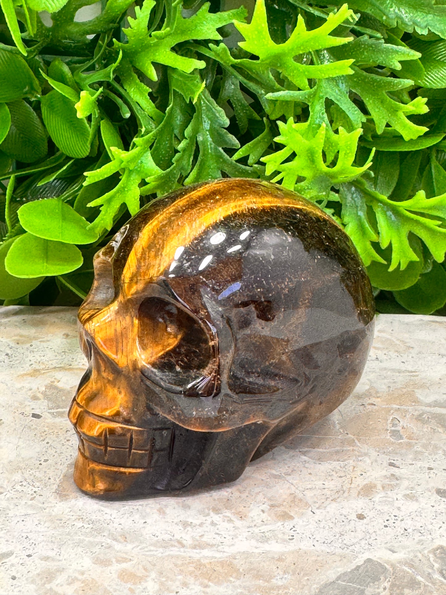 Tiger Eye Skull 386g