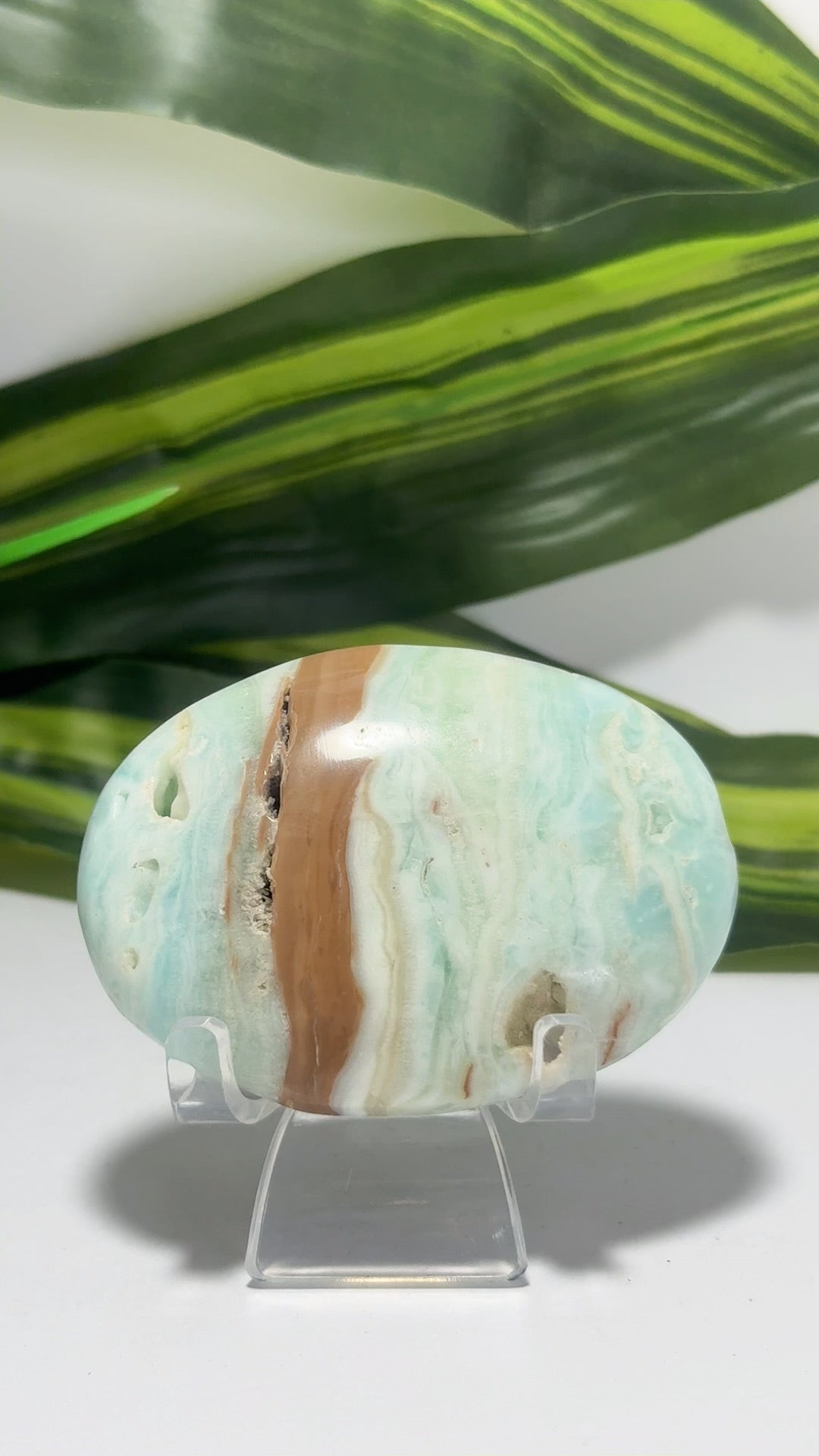Blue Caribbean Calcite Palm Stone 126g