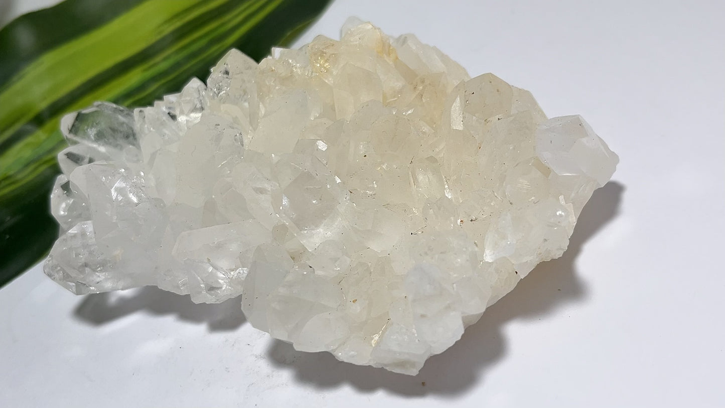 Clear Quartz Cluster 266g