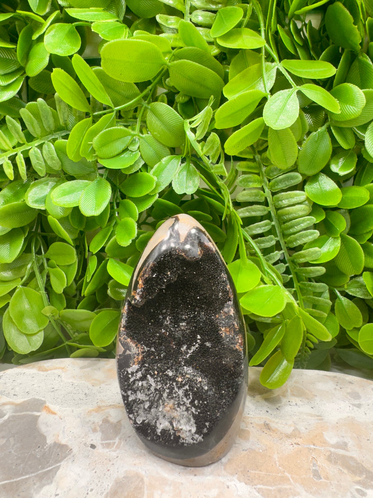 Septarian Freeform 316g