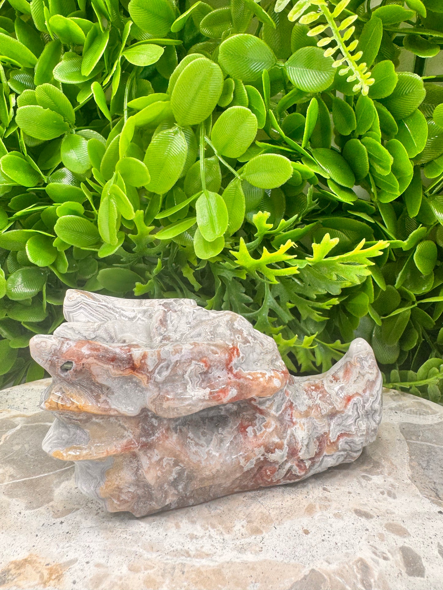 Mexican Agate Druzy Dragon Skull 570g