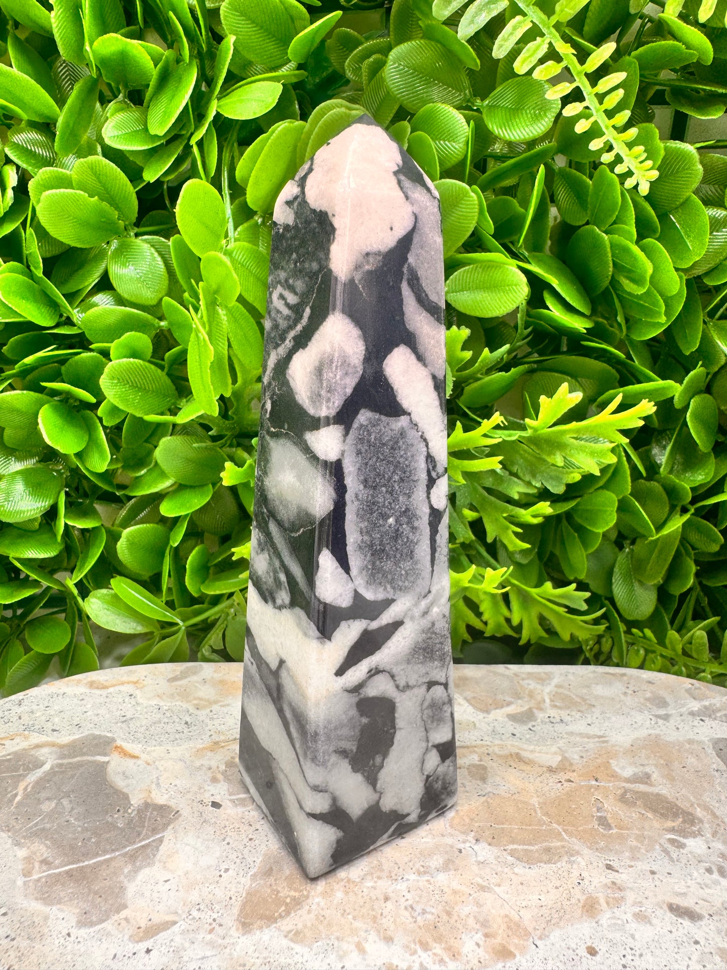 Shell Jasper Tower 420g