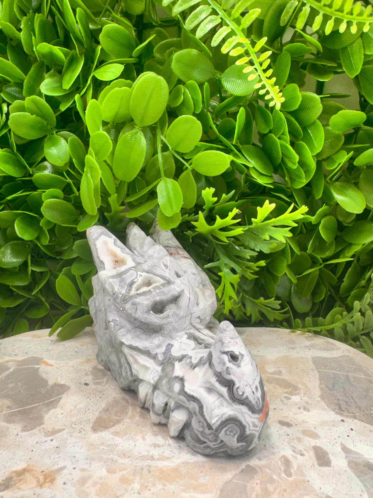 Mexican Agate Druzy Dragon Skull 620g
