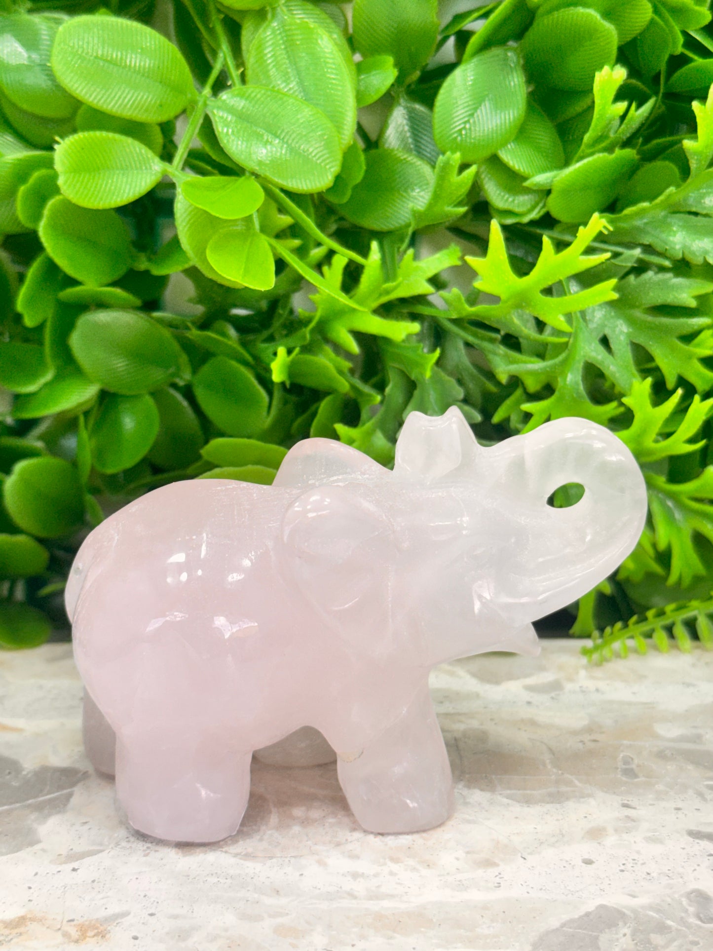 Rose Quartz Elephant 312g