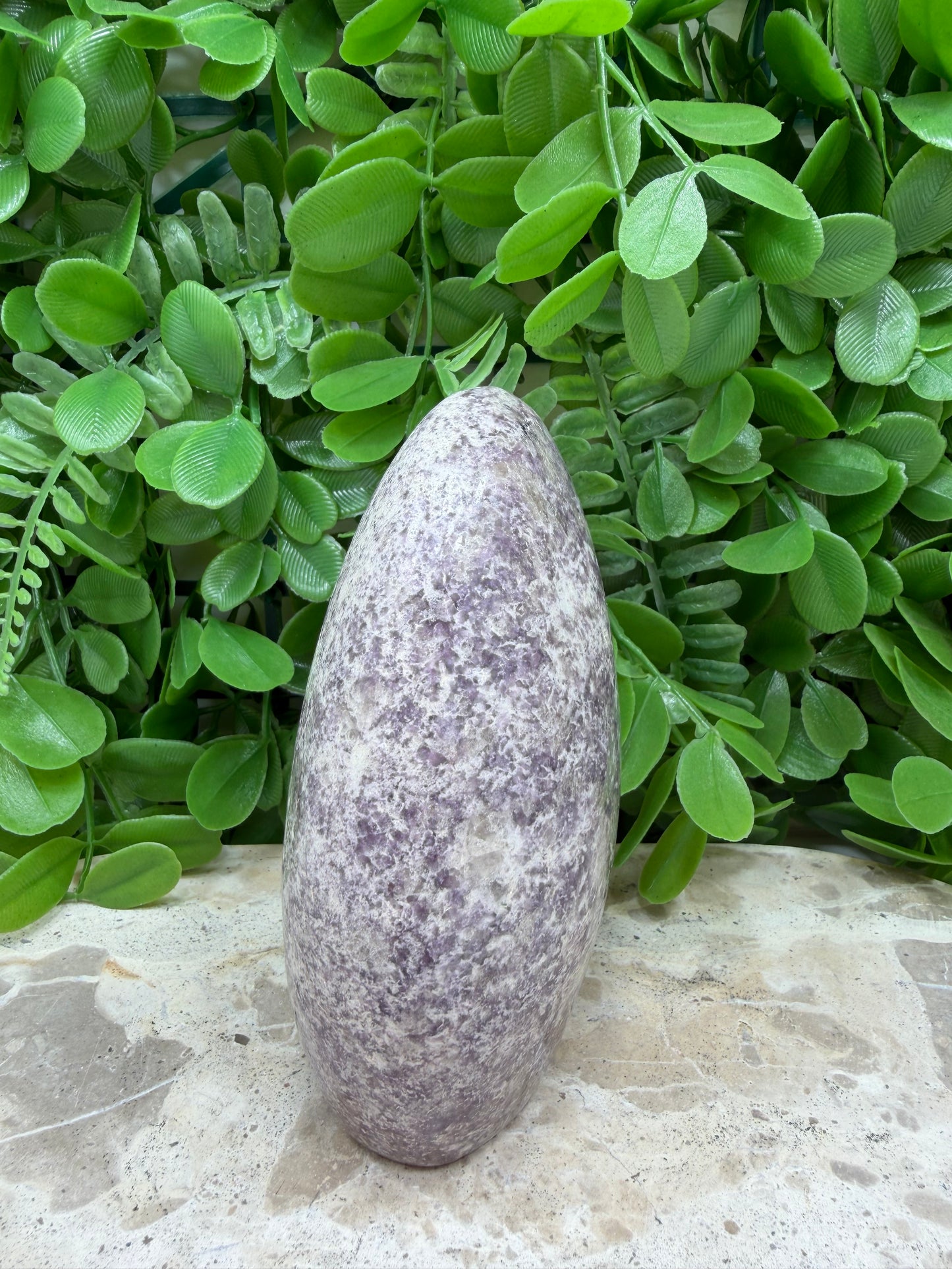Lepidolite Freeform 746g