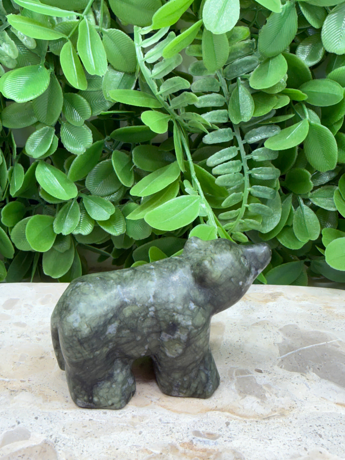 Serpentine Bear 168g | Healing • Transformation • Awakening