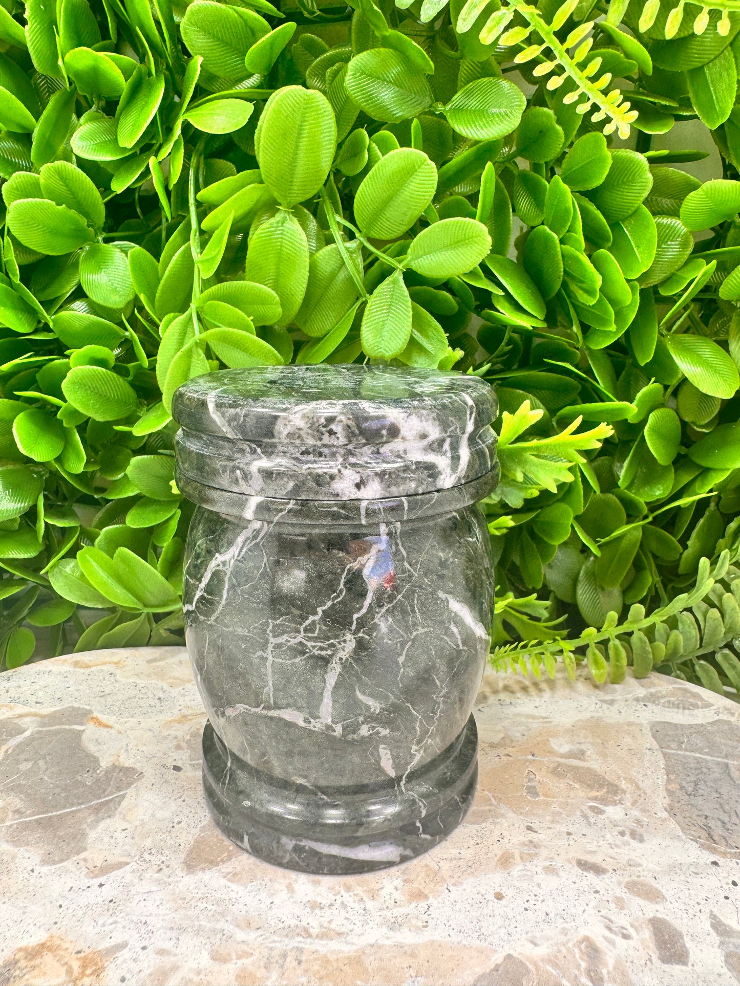 Black Zebra Jasper Jar with lid 472g
