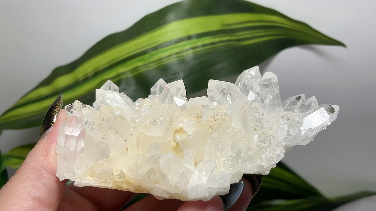 Clear Quartz Cluster 266g