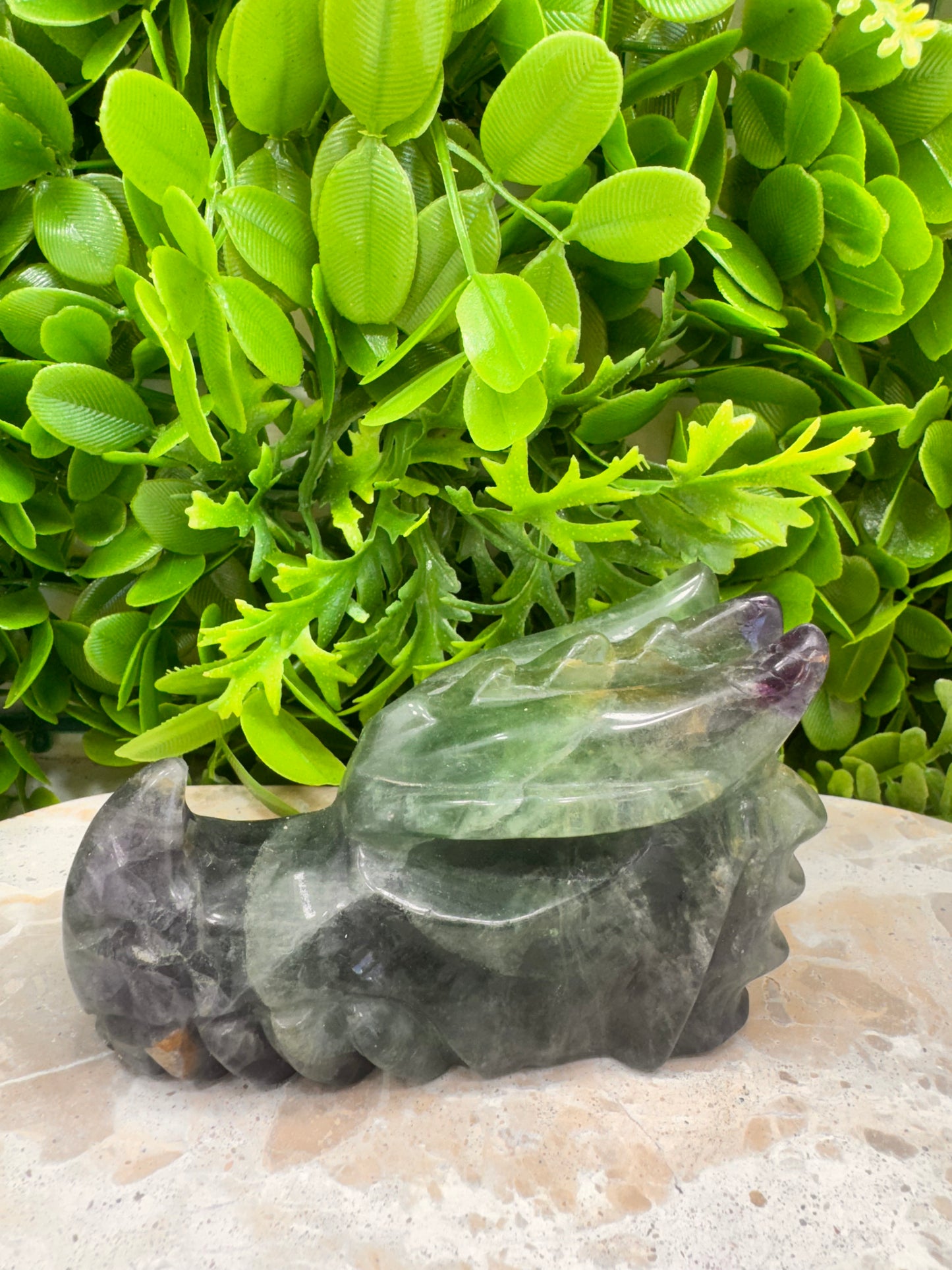 Green Purple Fluorite Dragon 588g