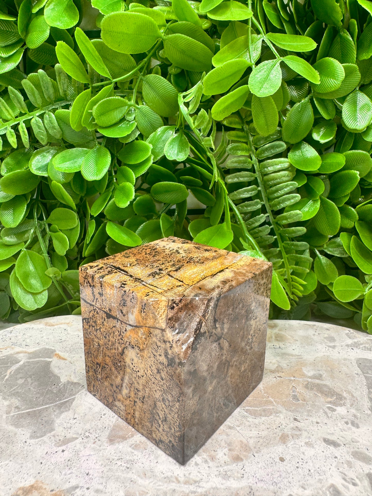 Picture Jasper Cube 546g