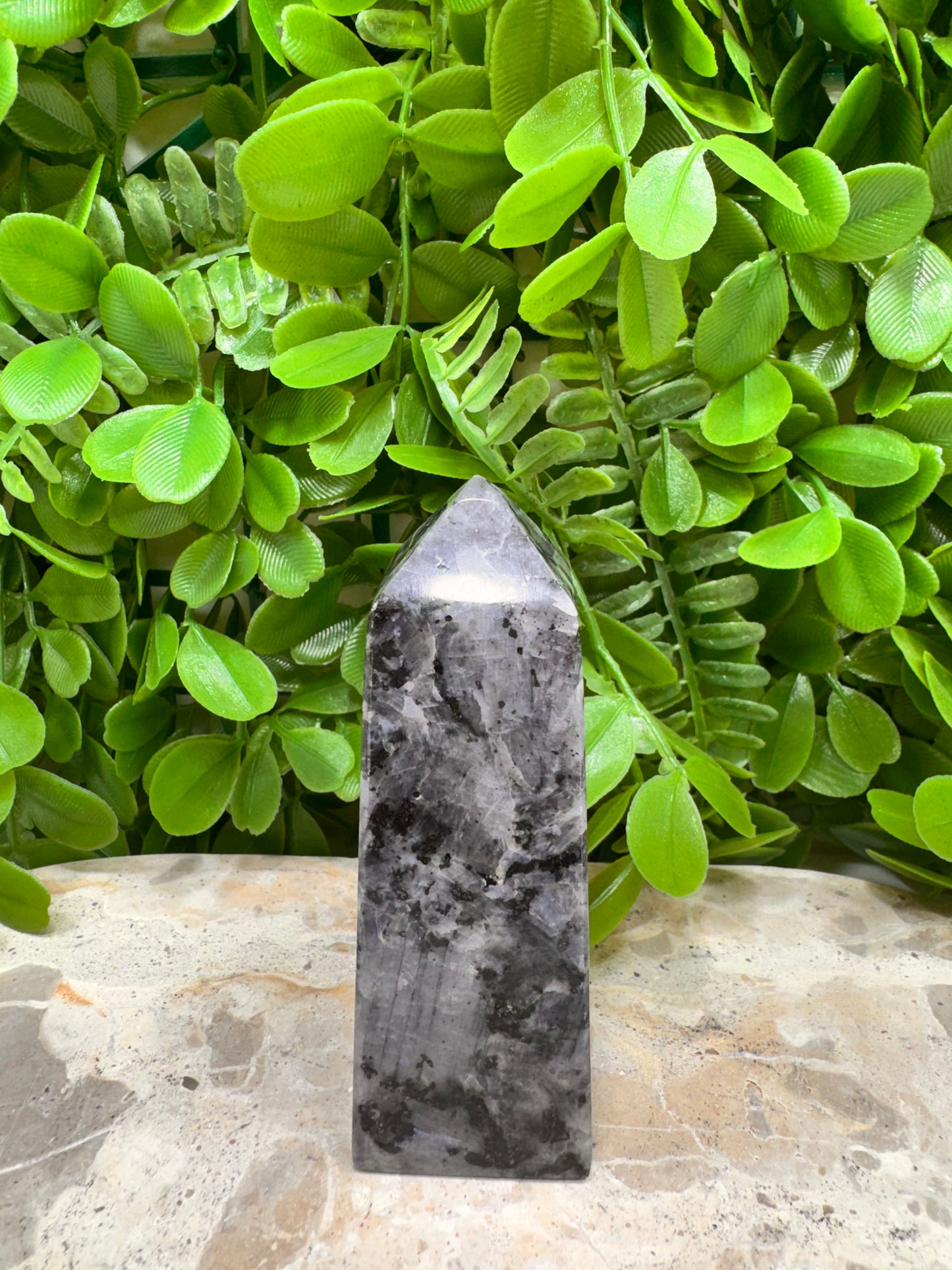 Larvikite Point 232g
