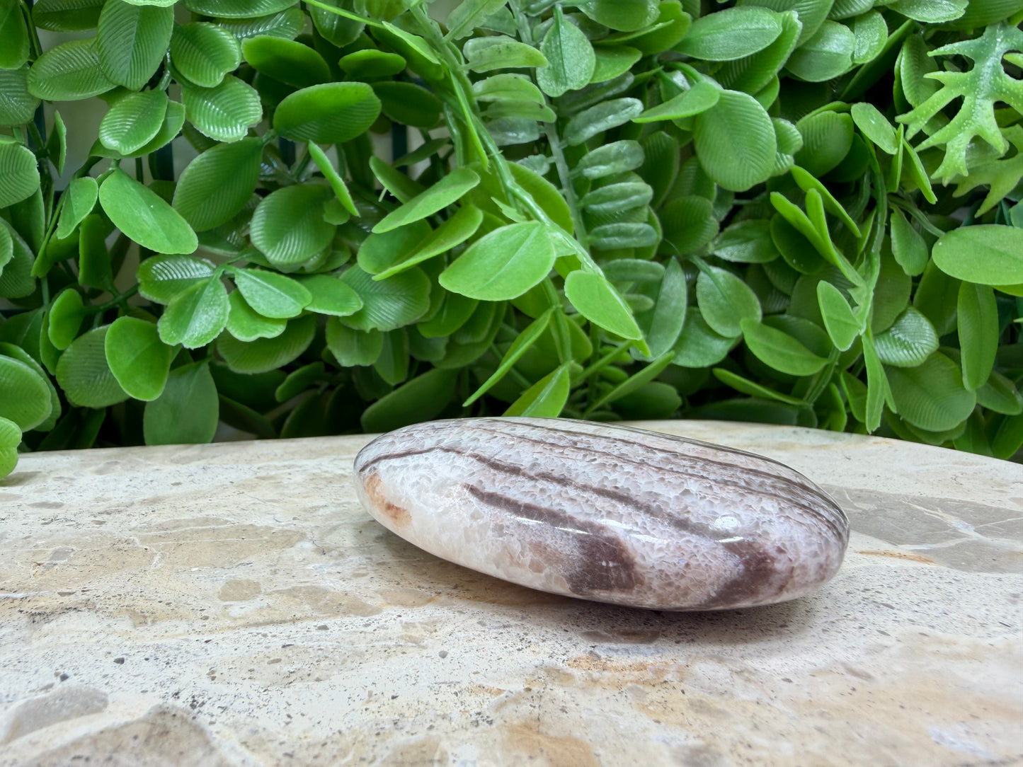 Chocolate Aragonite Palm Stone 84g