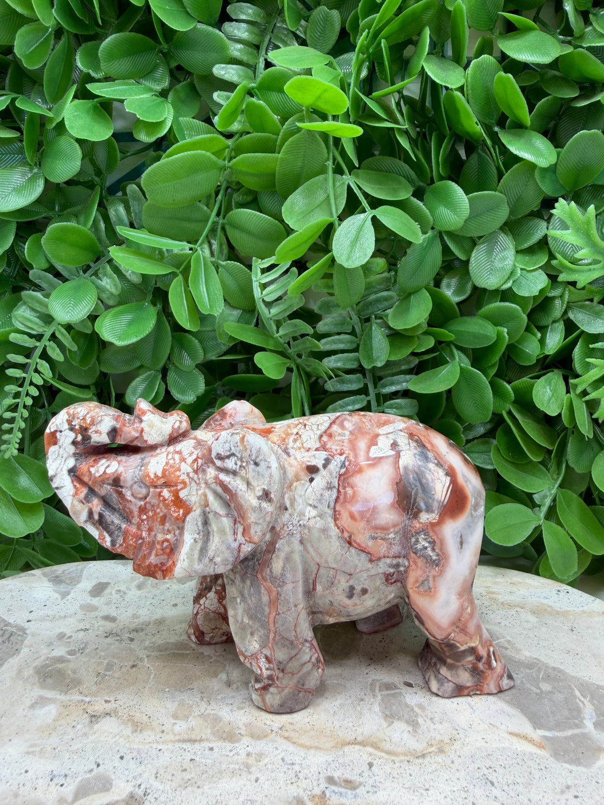 Money Agate Elephant 502g | Intuition • Communication • Clarity